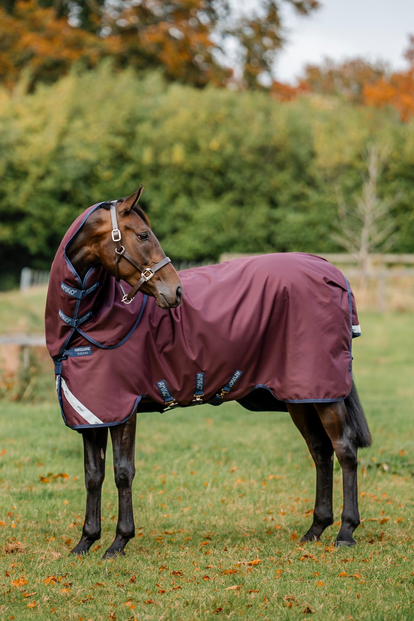 Horseware Amigo Bravo 12 Plus 100g Horse Rugs