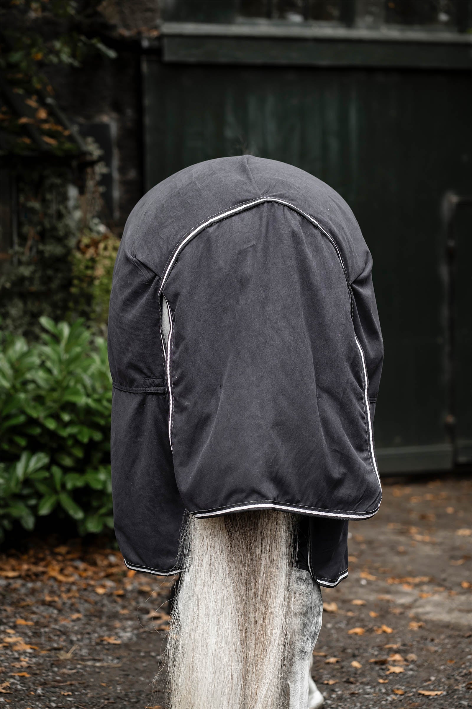 Lifestyle shot 6