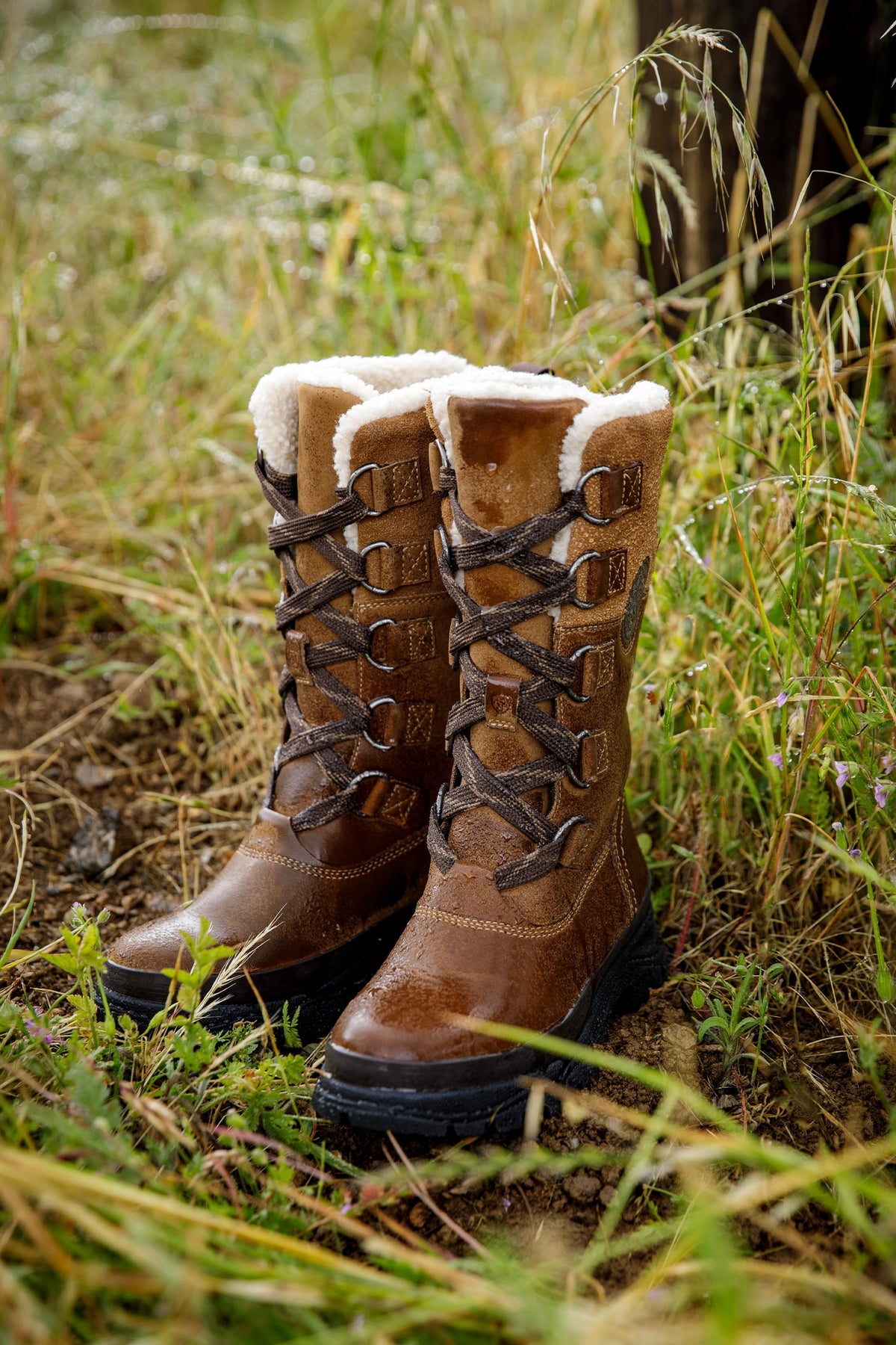 Ariat Women's Wetherby Waterproof Insulated Boot Riding Boots & Riding Shoes