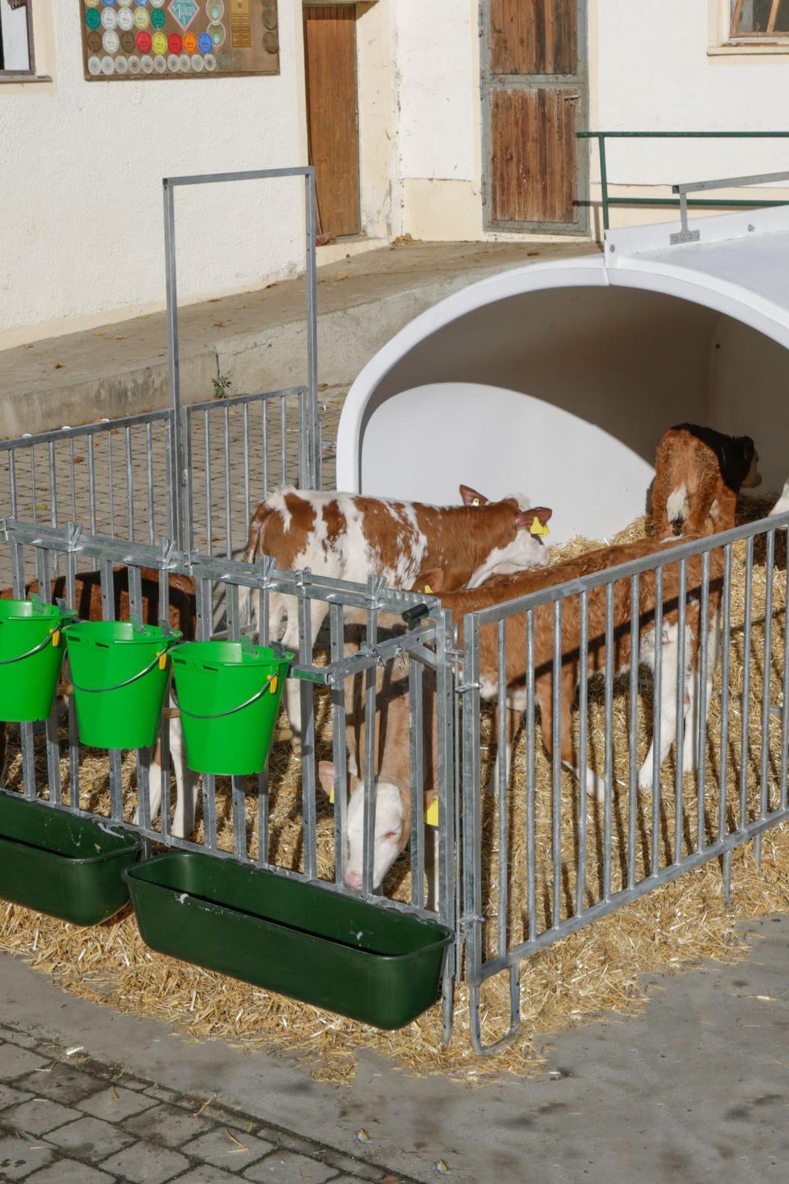 Kerbl Long & Narrow Feeding Trough (42L) Horse Feeders & Waterers