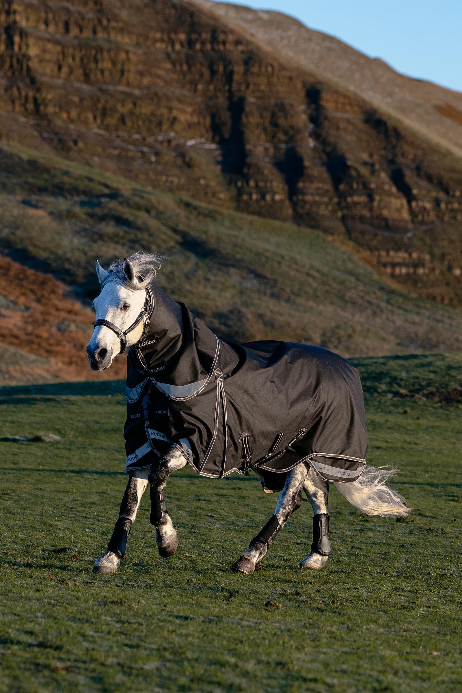 LeMieux Kudos Neo-Turnout Rug W. Detachable Neck, 100 g Horse Rugs