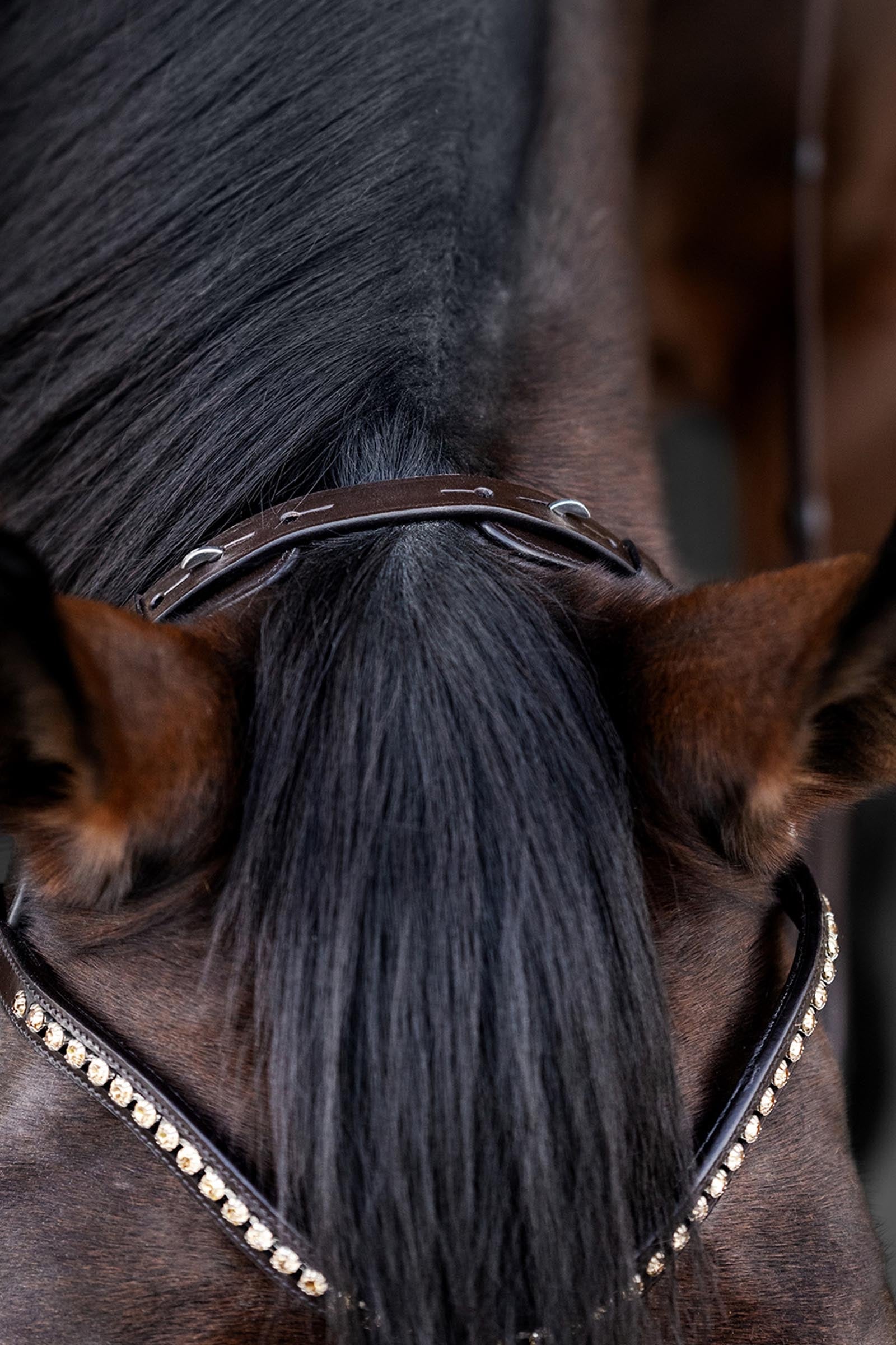 Waldhausen X-Line Relaxation Bridle Bridles & Reins