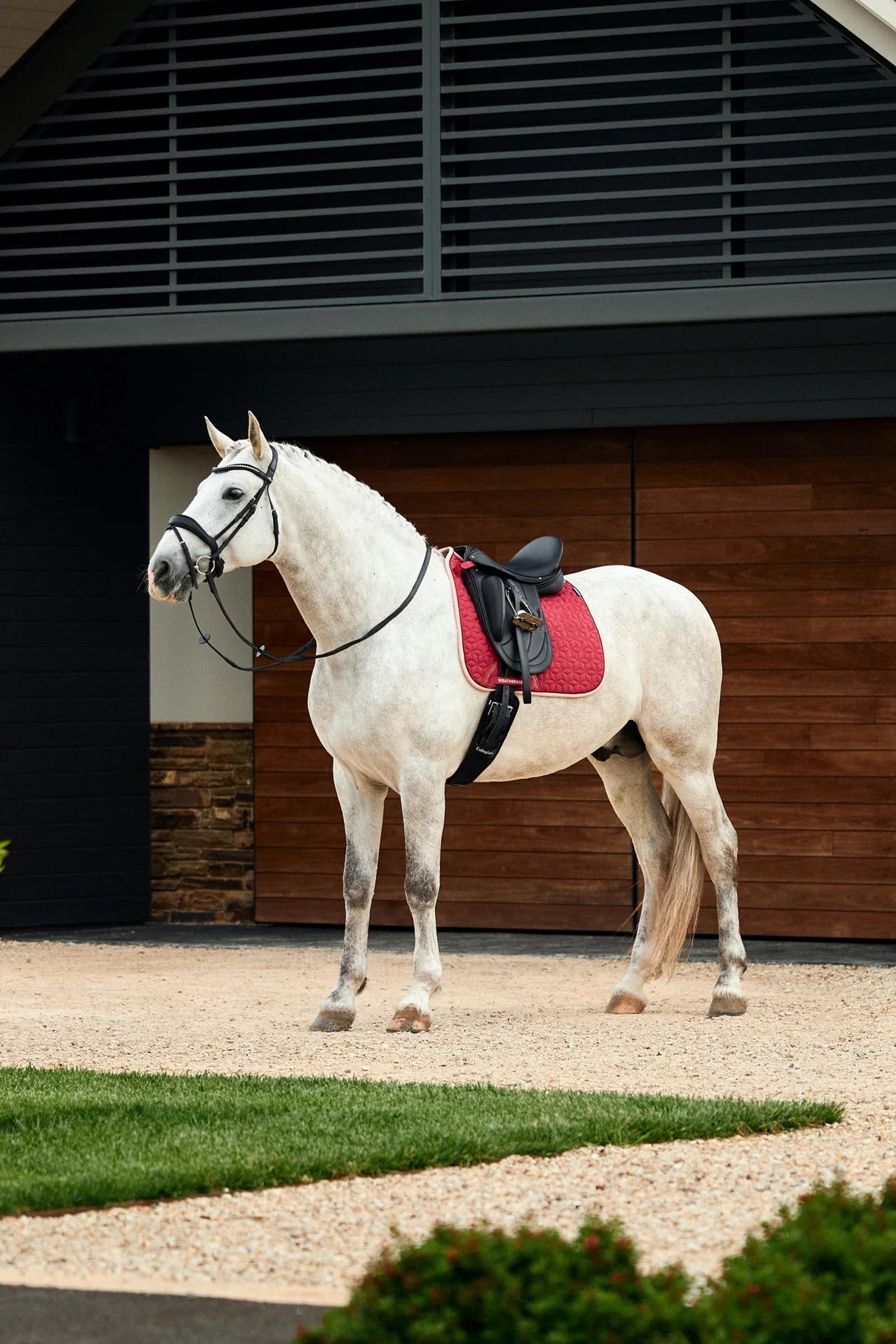 Weatherbeeta Suede Elite Air-Tec Dressage Saddle Pad Saddle Pads