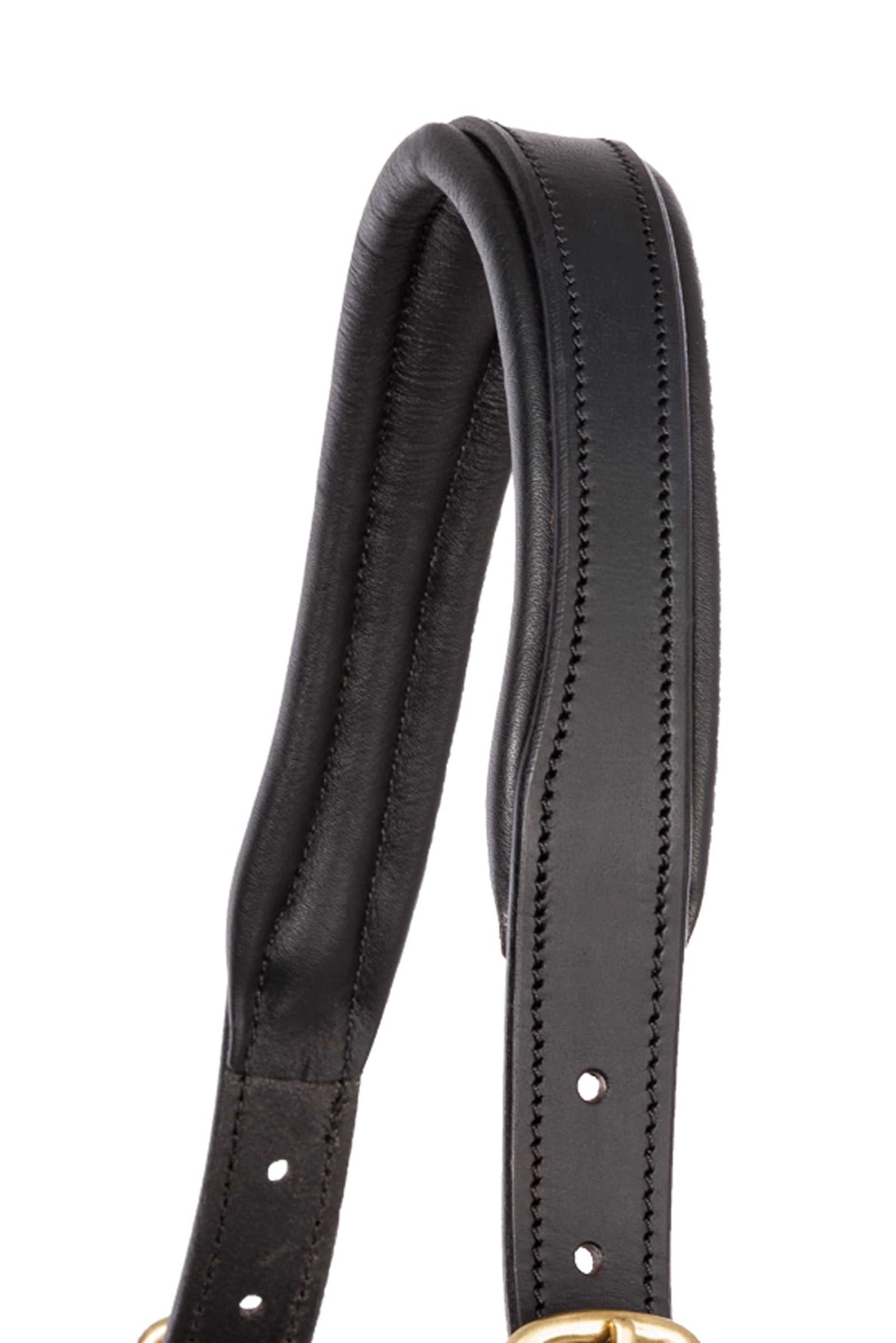 Kavalkade Leather halter Cinta Halters & Leads