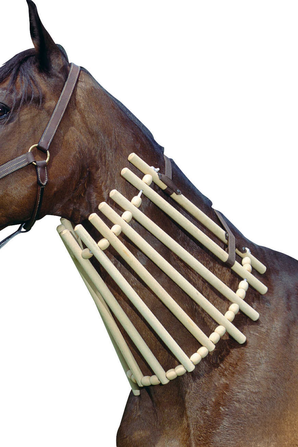 HIPPOTONIC Wooden Neck Cradle Stable Equipment