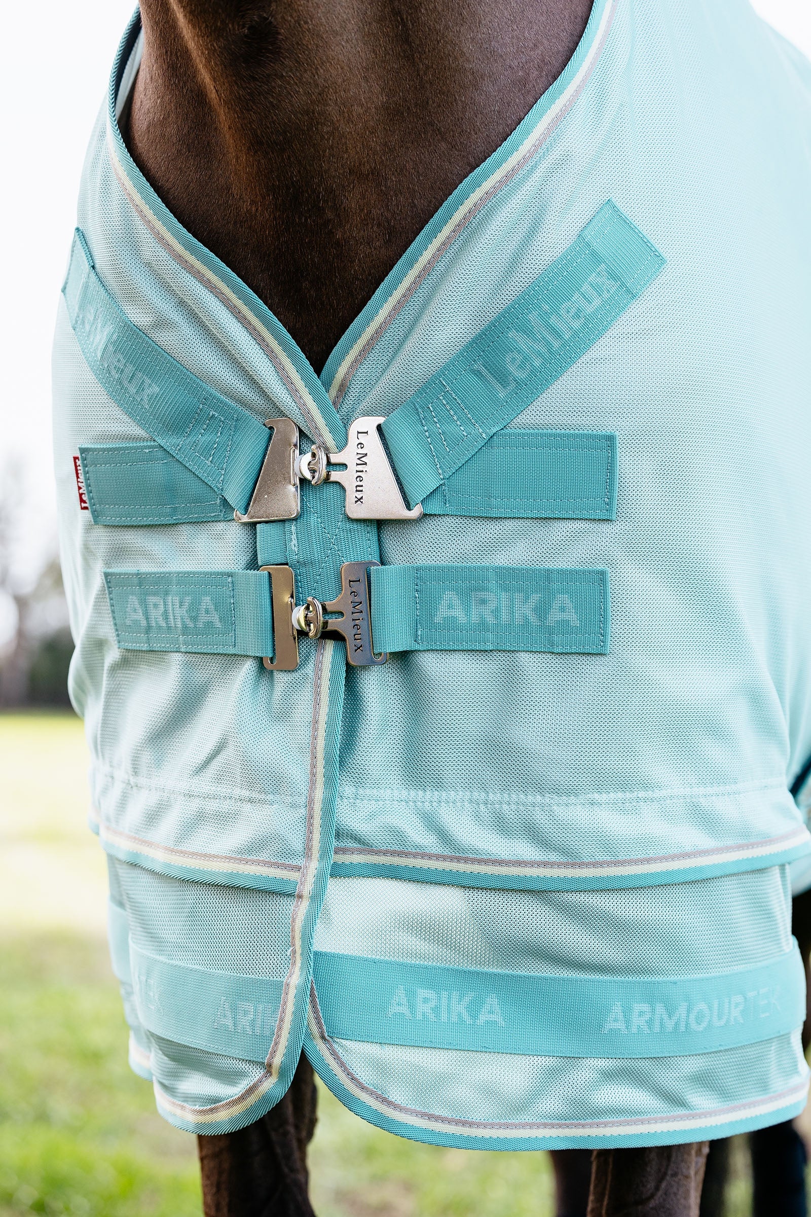 Alt Tag fallback text for IMAGE