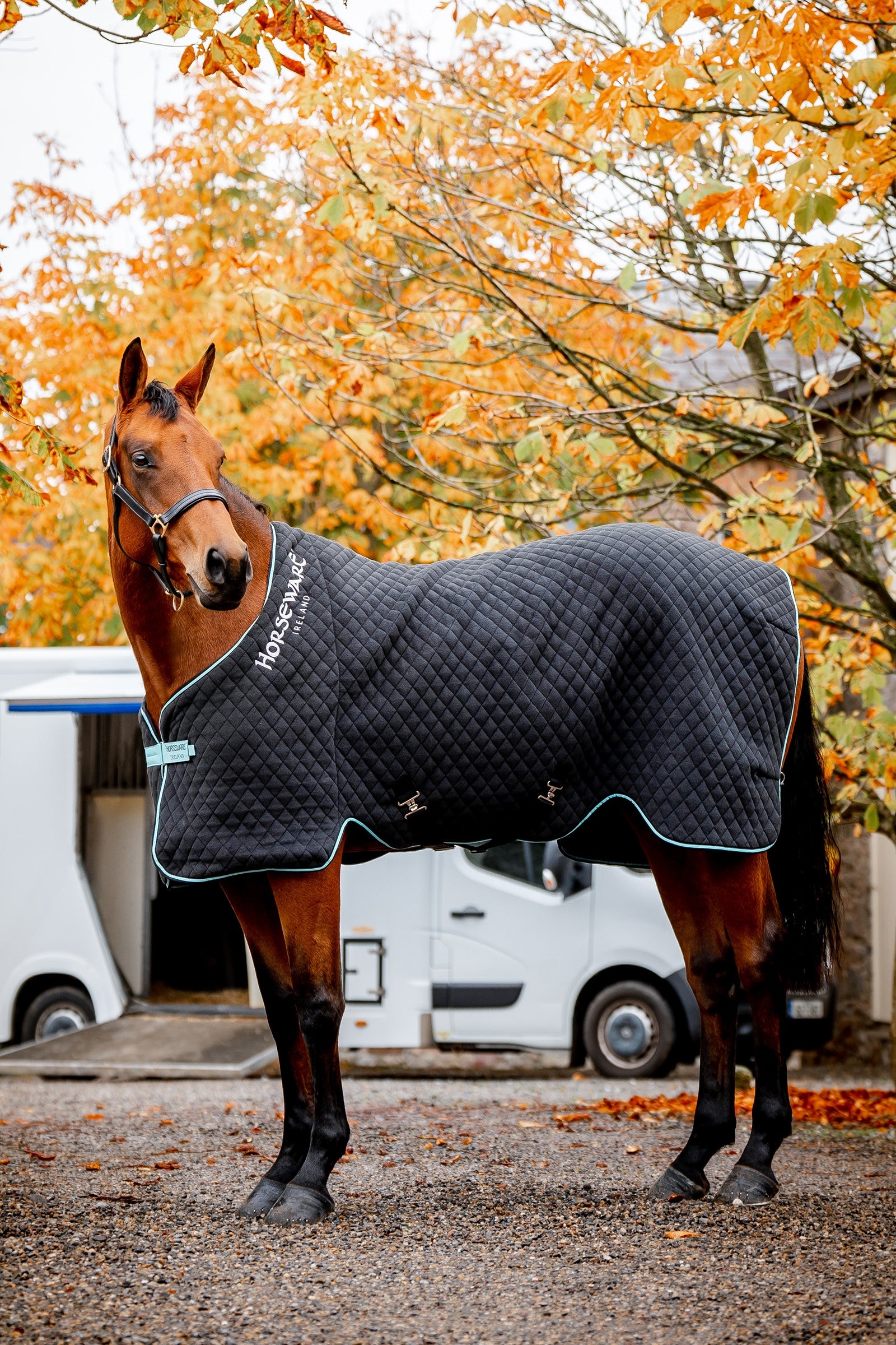 Horseware Autumn Cooler Horse Rugs