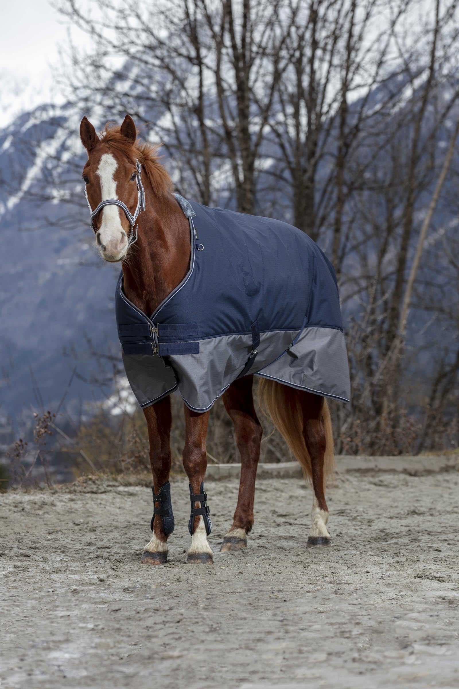 EQUITHÈME TYREX 600D Turnout Rug Fleece Lined Horse Rugs