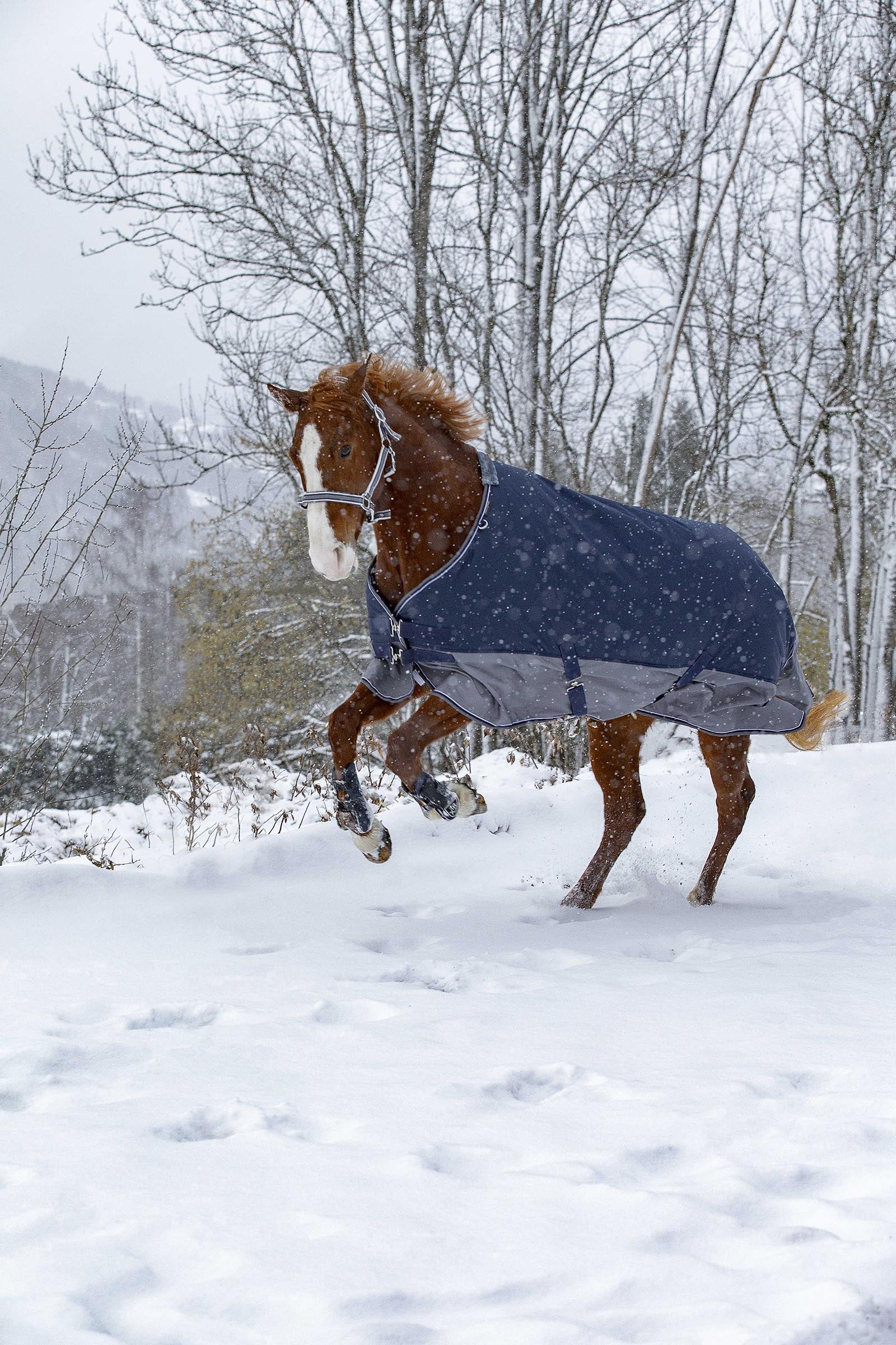 EQUITHÈME TYREX 600D Turnout Rug Fleece Lined Horse Rugs