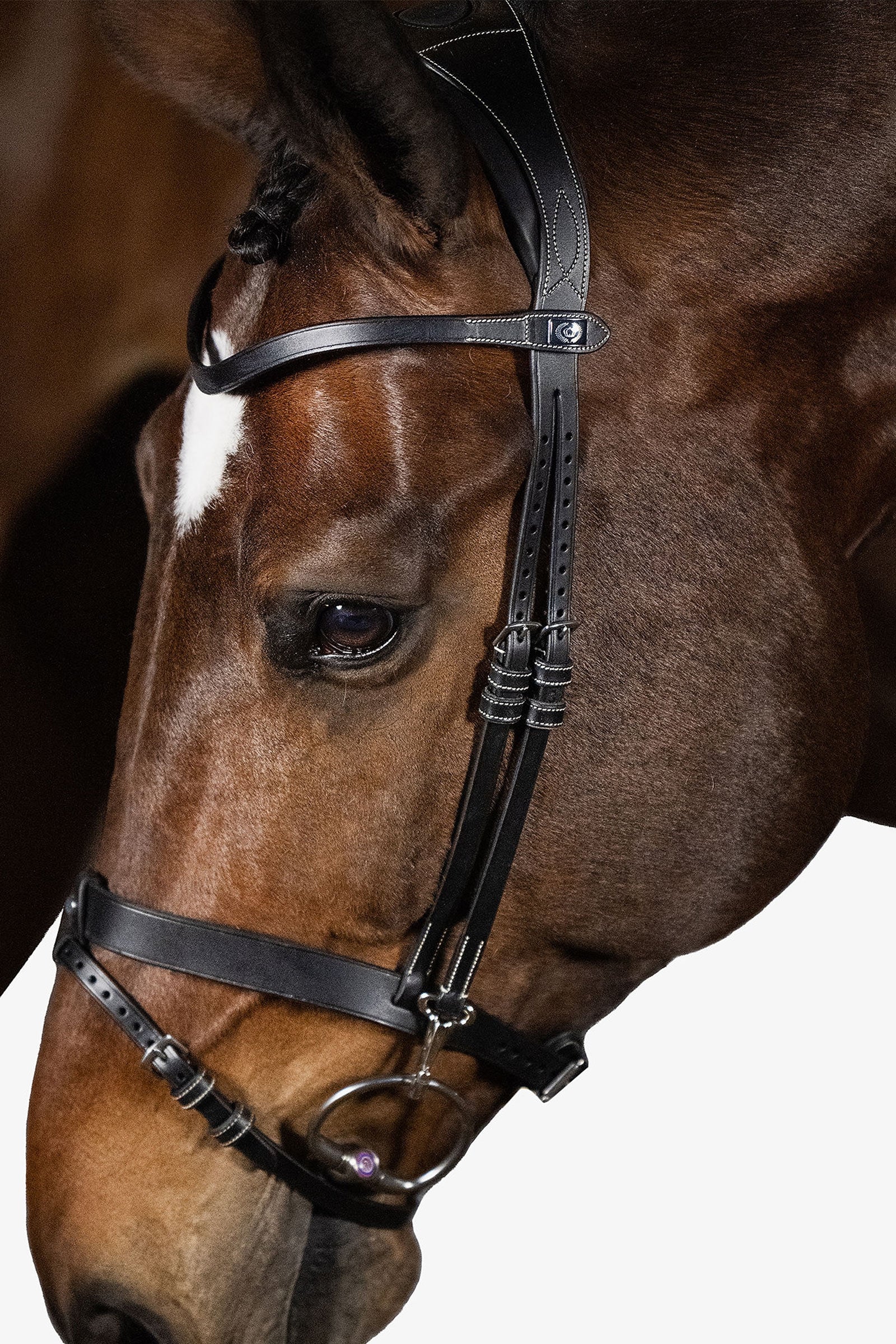 PS of Sweden London Bridle Bridles & Reins
