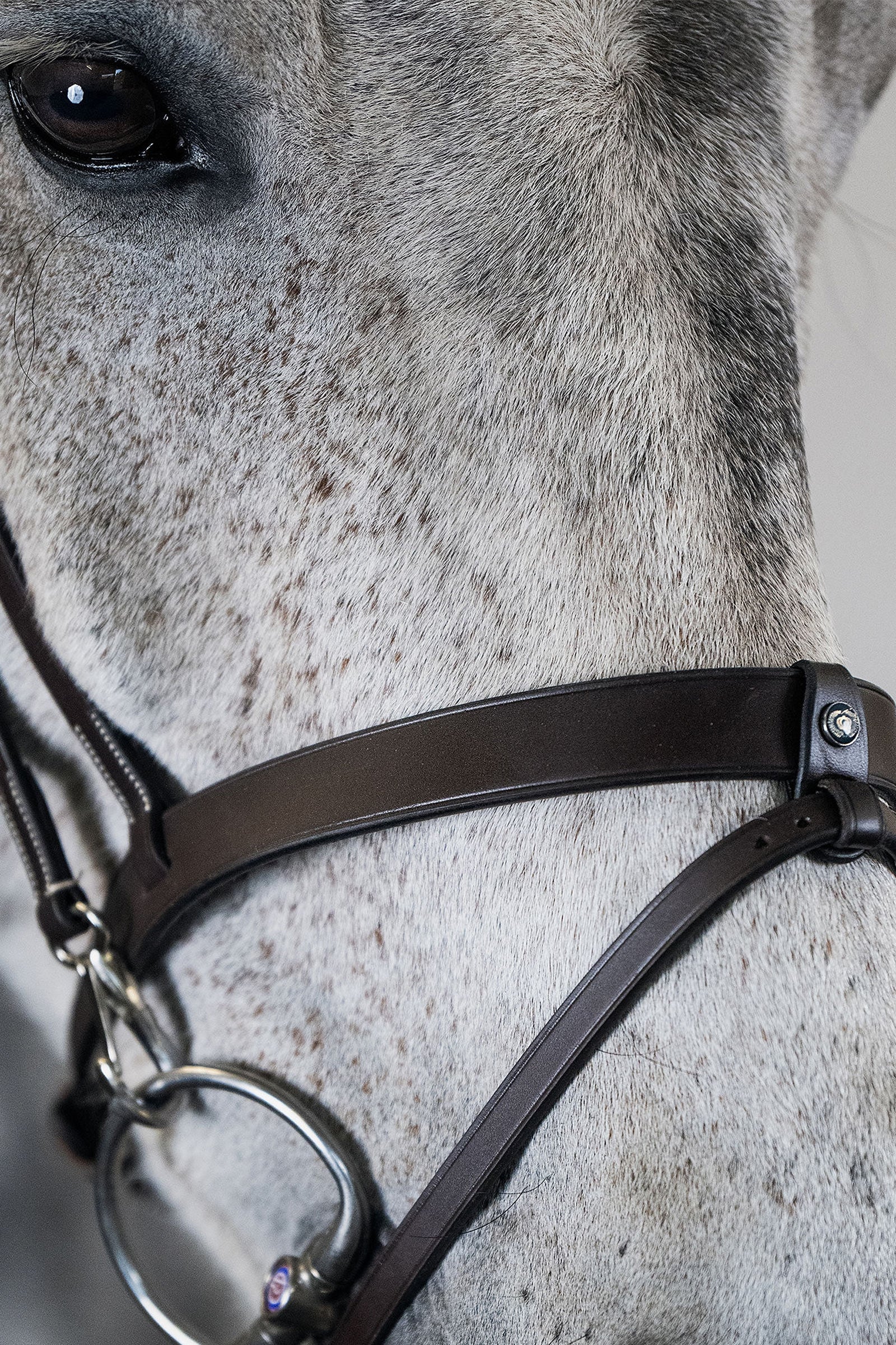 PS of Sweden London Bridle Bridles & Reins