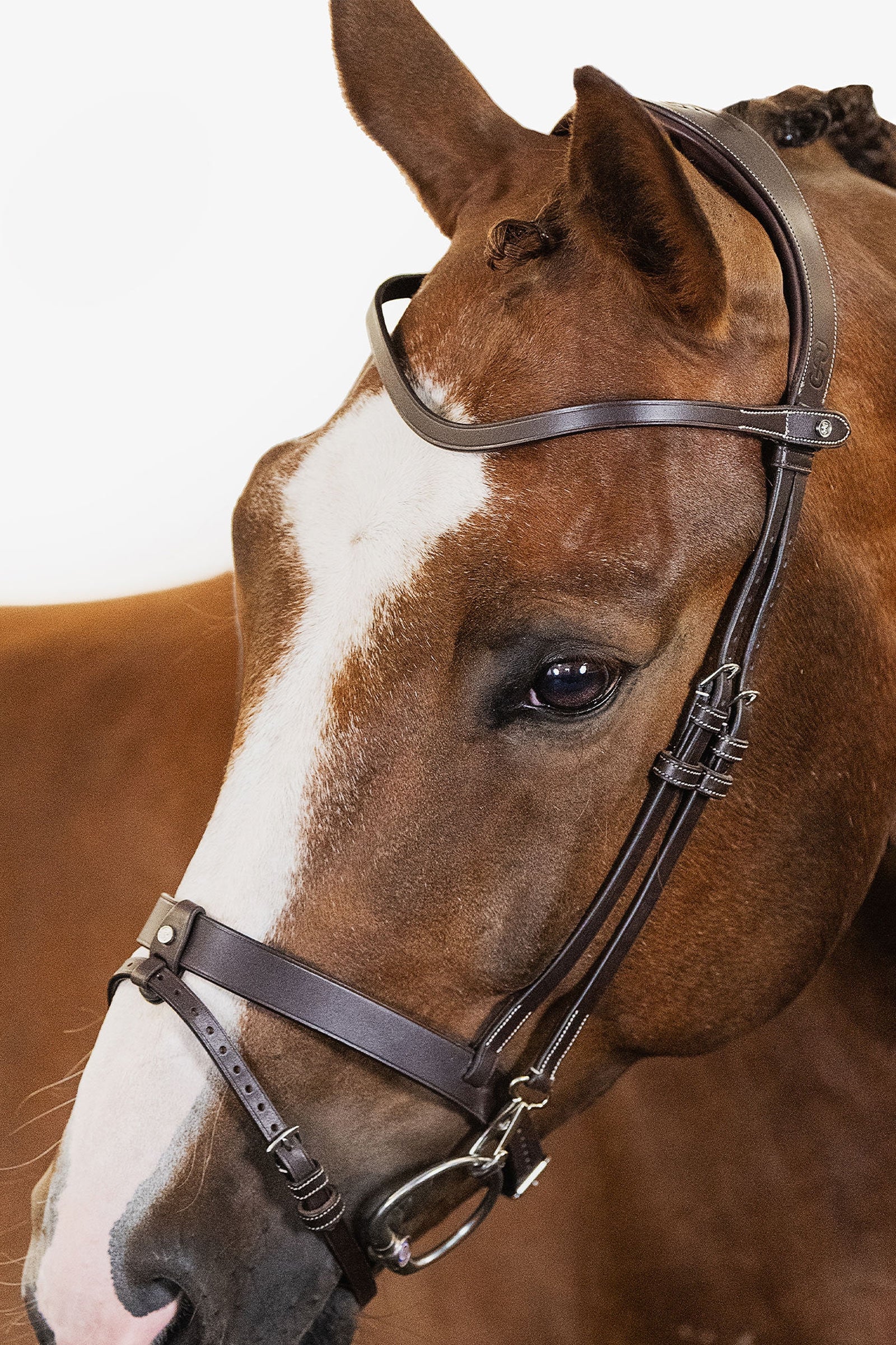 PS of Sweden London Bridle Bridles & Reins