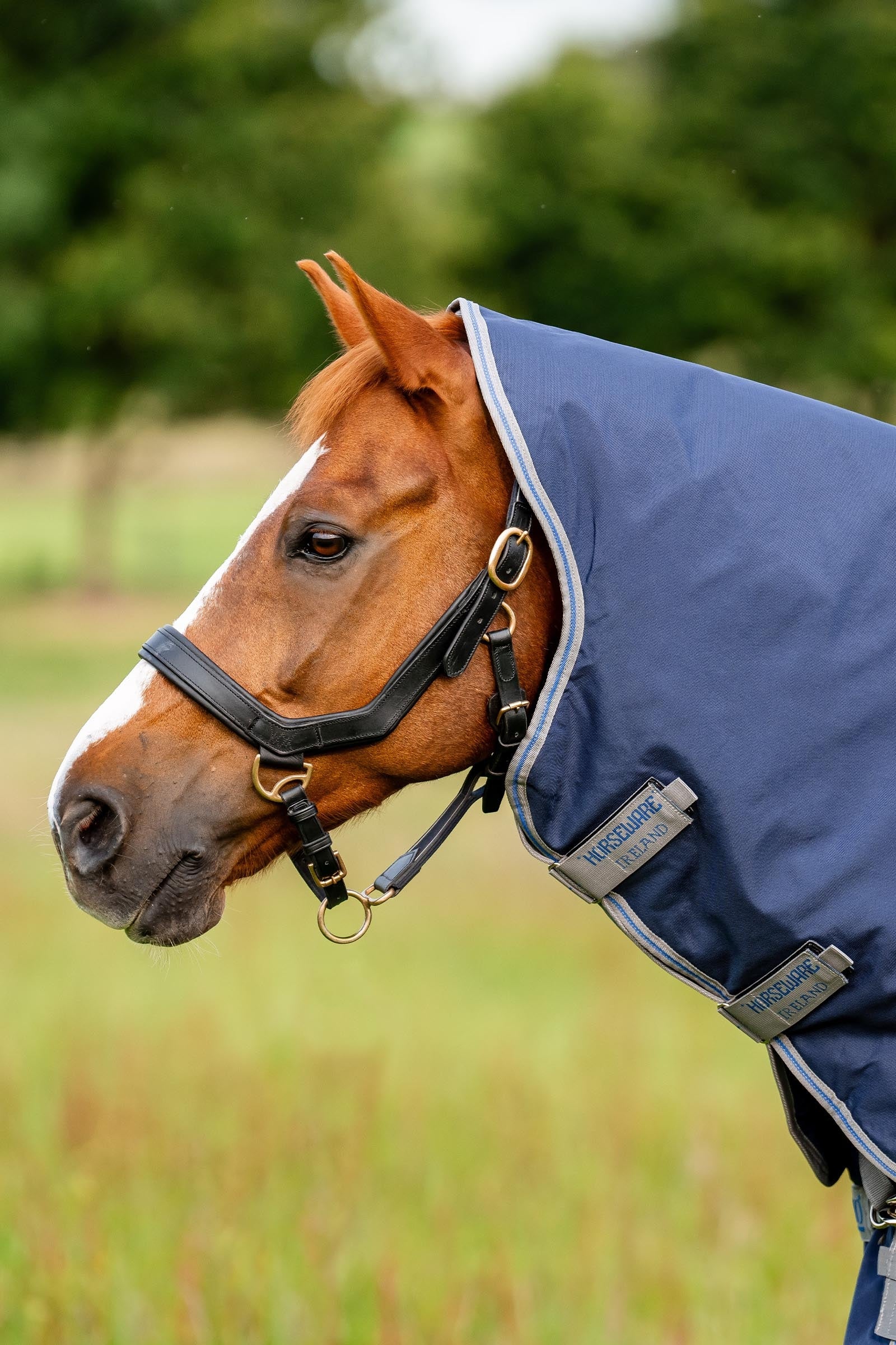 Horseware Rhino Turnout Hood No Fill Horse Rugs