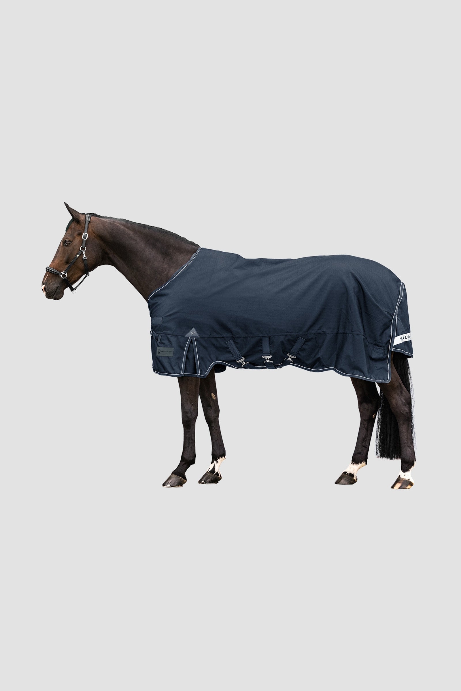 Waldhausen Outdoor Rug Scandic Multi-Layer 150g/50g Horse Rugs