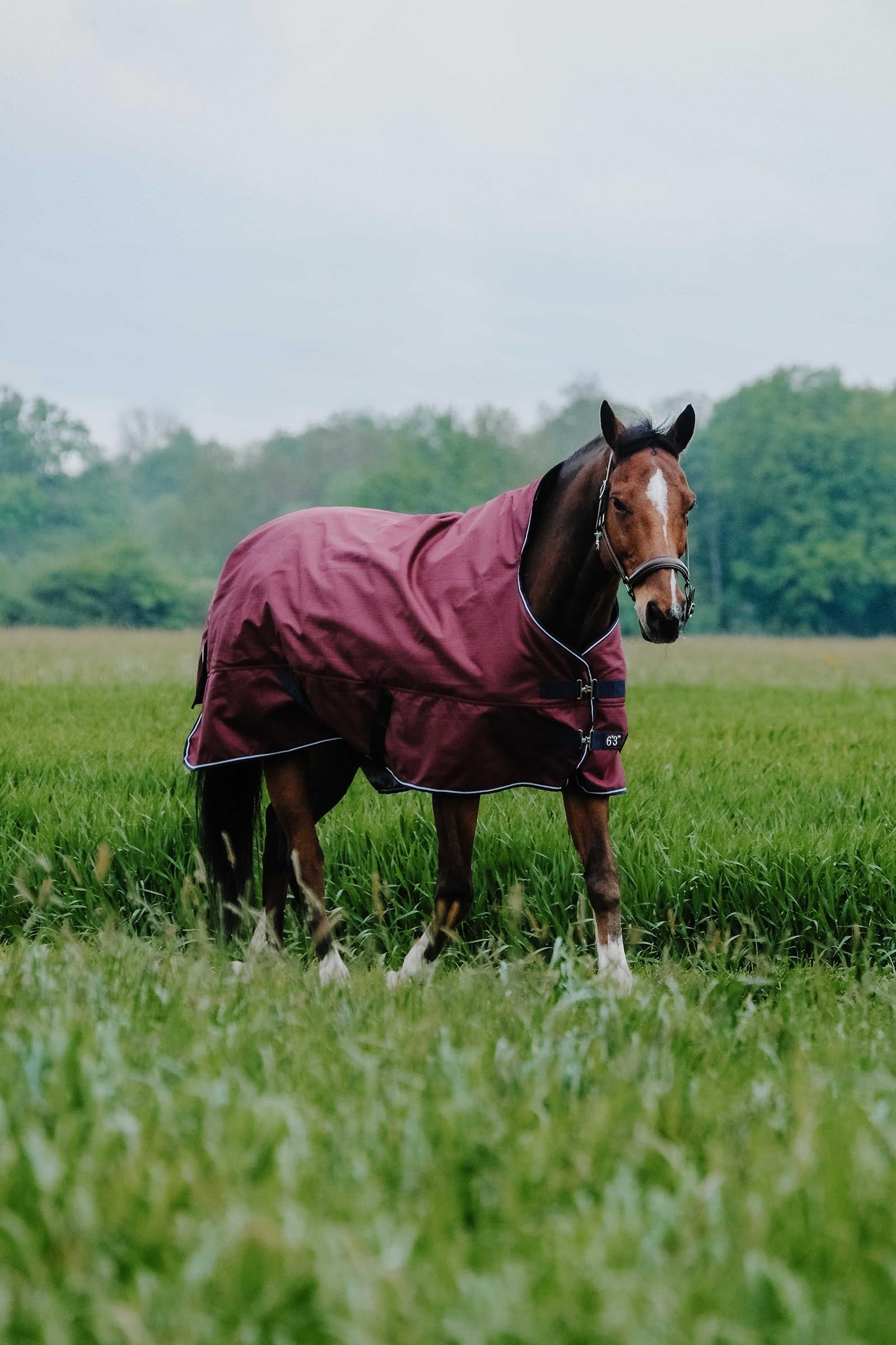 EQUITHÈME TYREX 1200D High Neck Rug, 0 g Horse Rugs