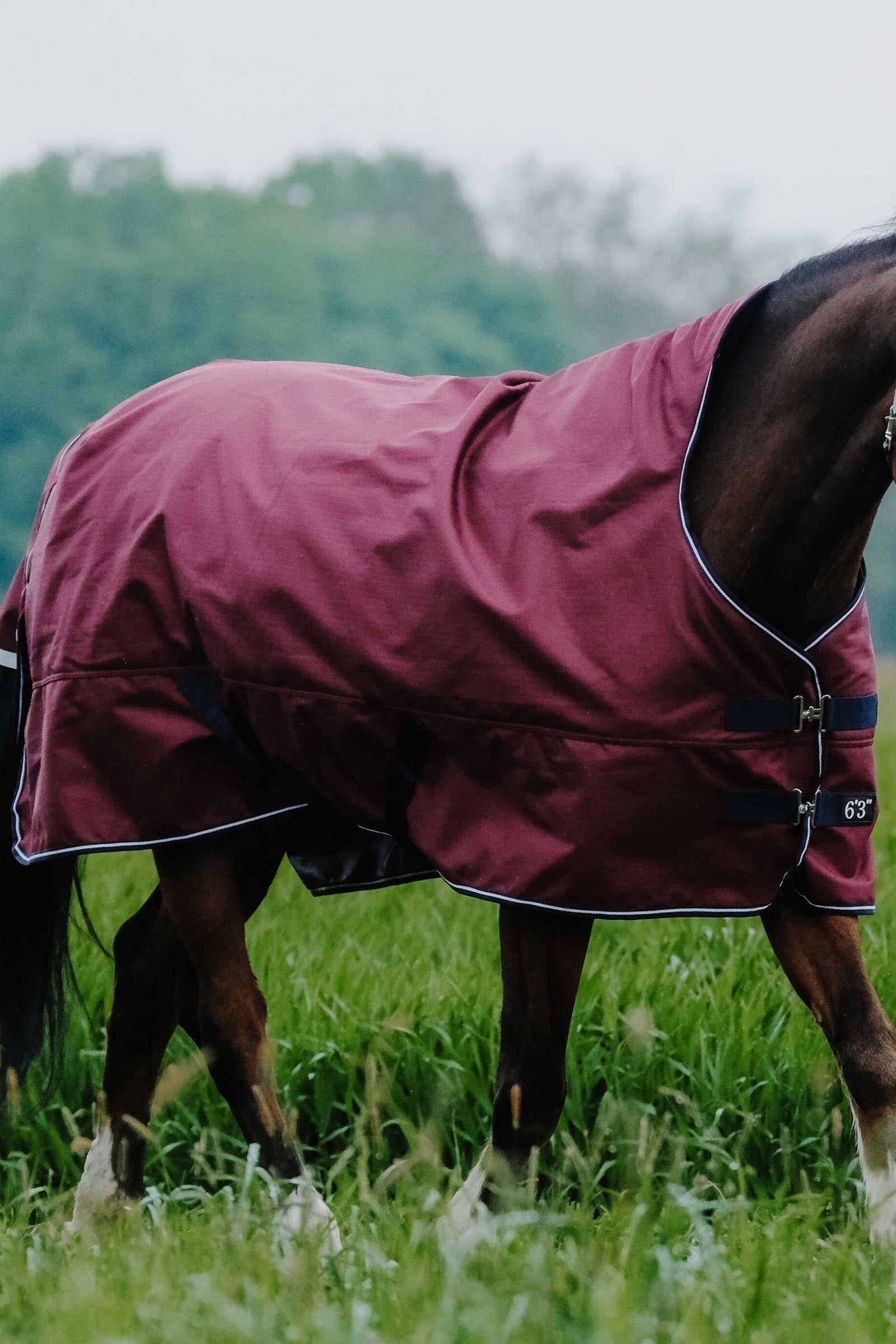EQUITHÈME TYREX 1200D High Neck Rug, 0 g Horse Rugs