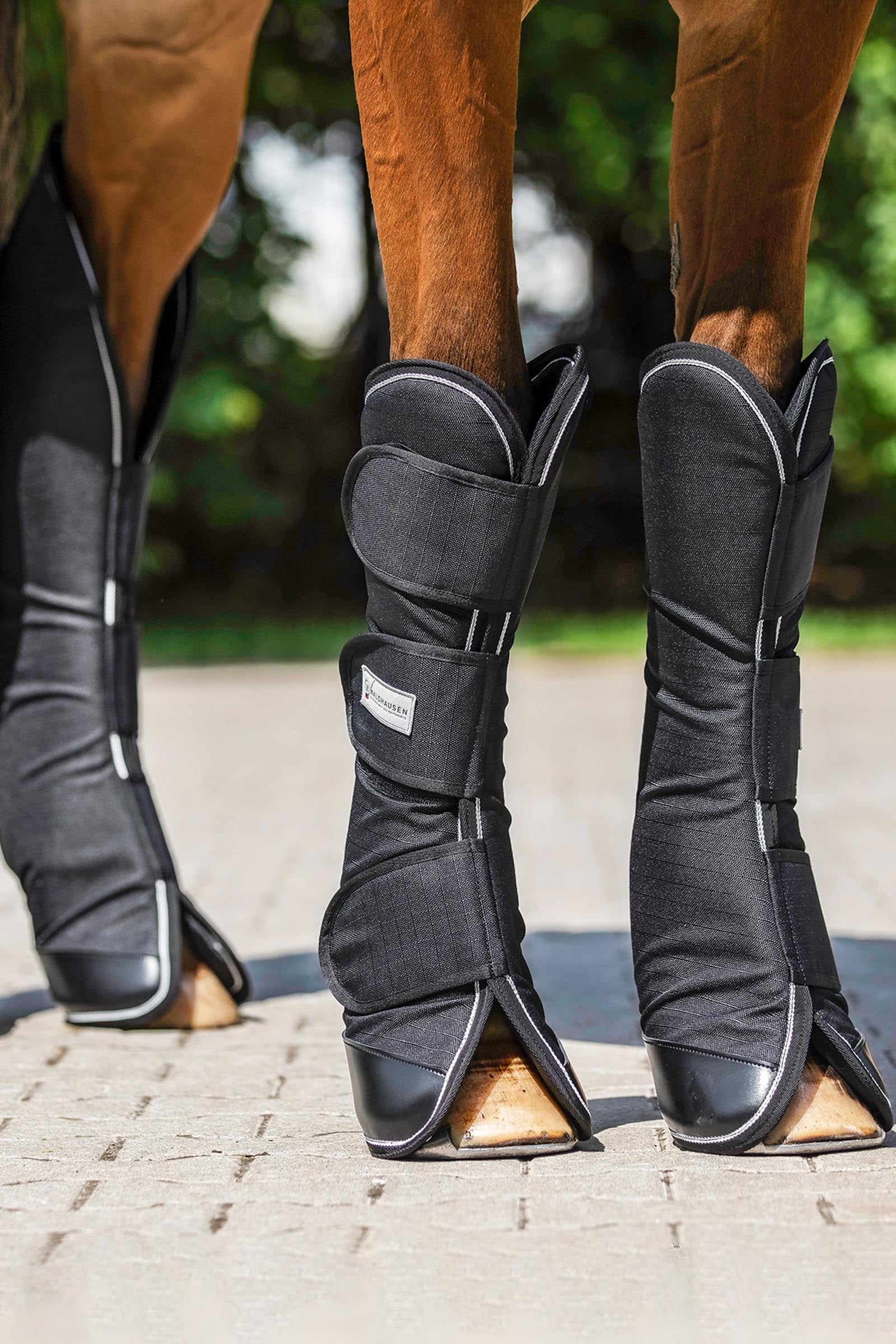 Waldhausen Comfort Line Travelling Boots (Set of 4) Leg & Hoof Protection