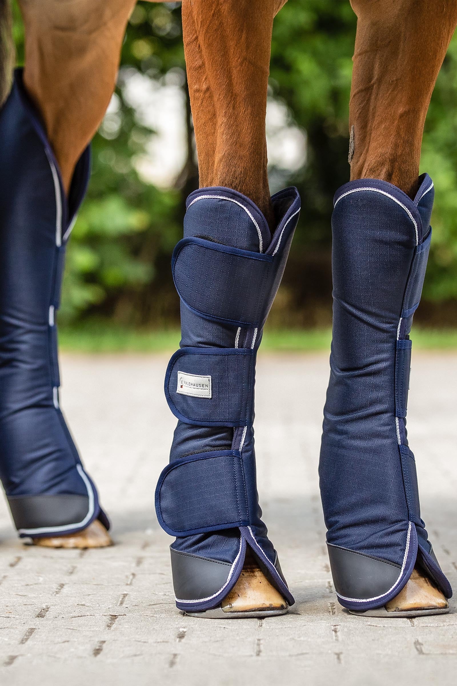 Waldhausen Comfort Line Travelling Boots (Set of 4) Leg & Hoof Protection