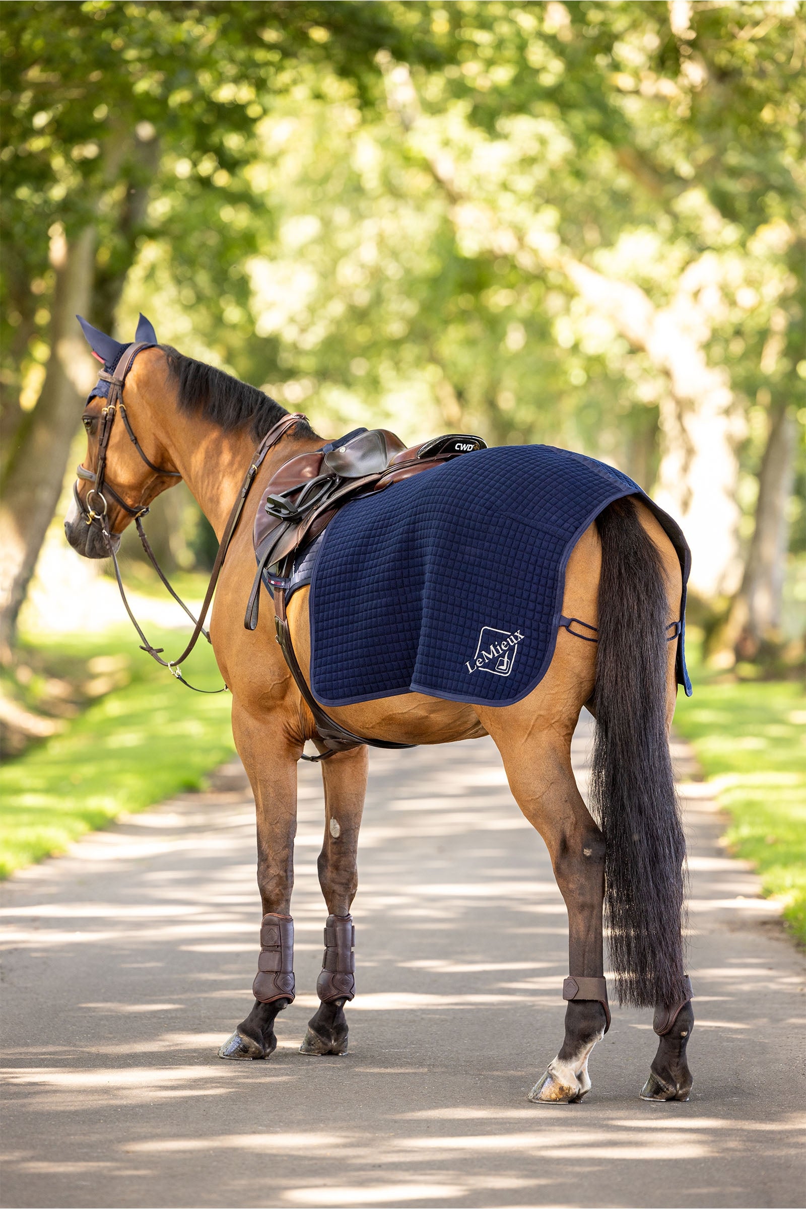 LeMieux Clima Tek Quarter Sheet Horse Rugs