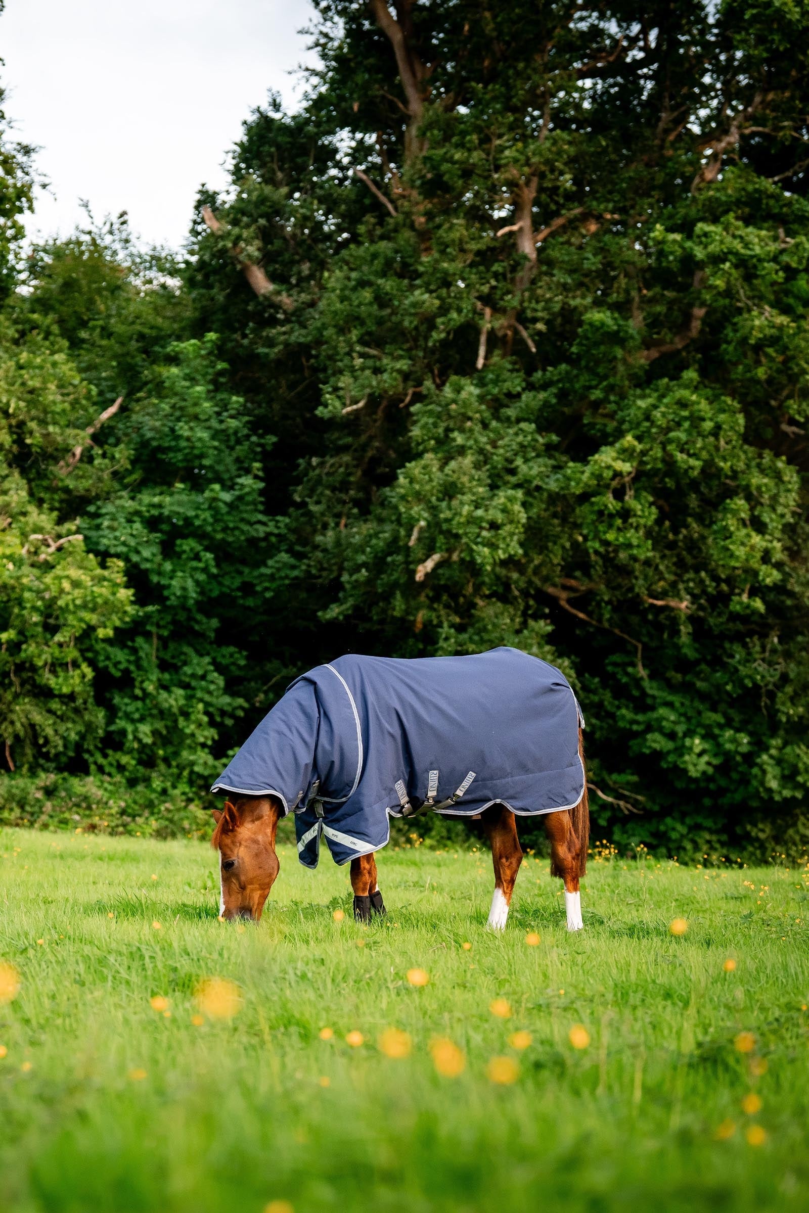 Horseware Rhino Plus Turnout Lite incl. detachable neck, 100g Horse Rugs