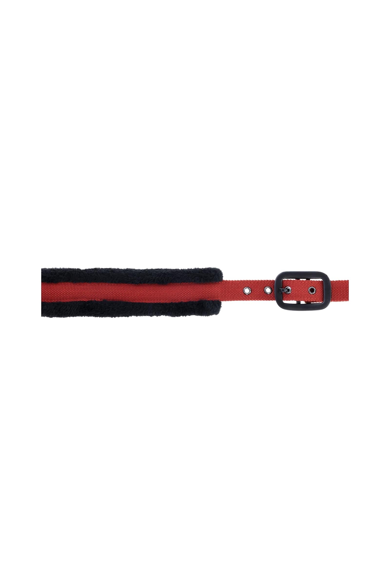 Covalliero Padded Halter Halters & Leads