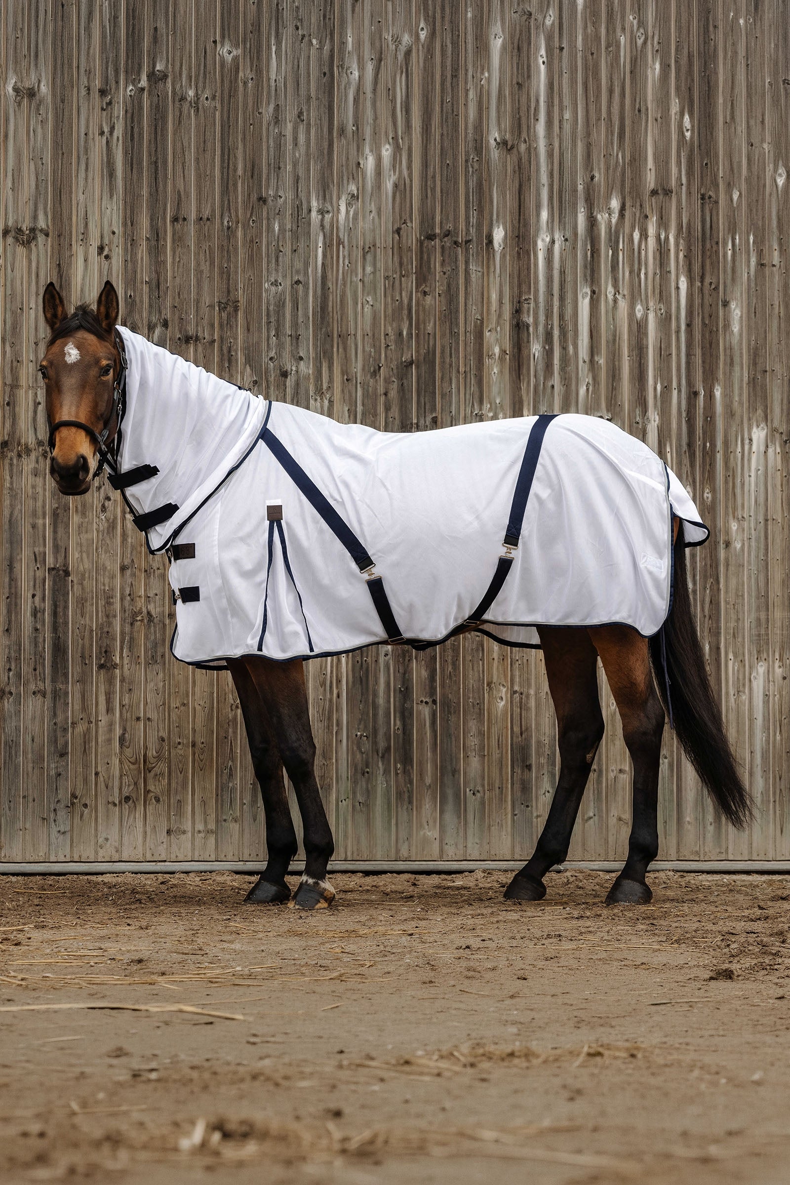 EQUITHÈME Mesh Combo Anti-Insect Sheet Horse Rugs
