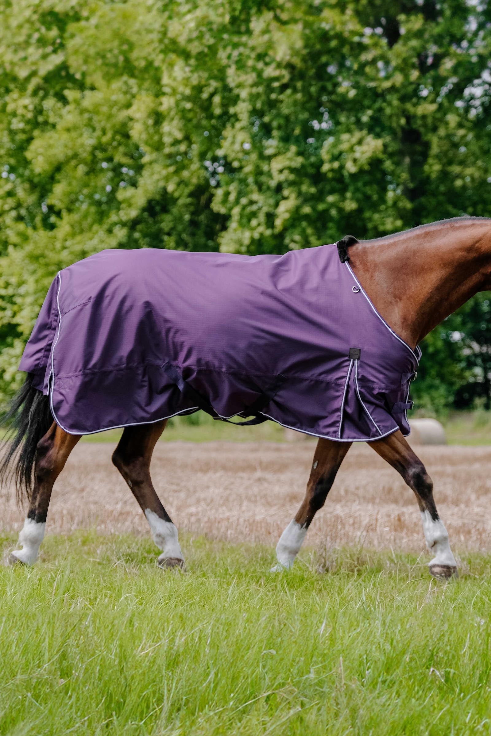 EQUITHÈME TYREX Aisance 600D Turnout Rug, 150 g Horse Rugs