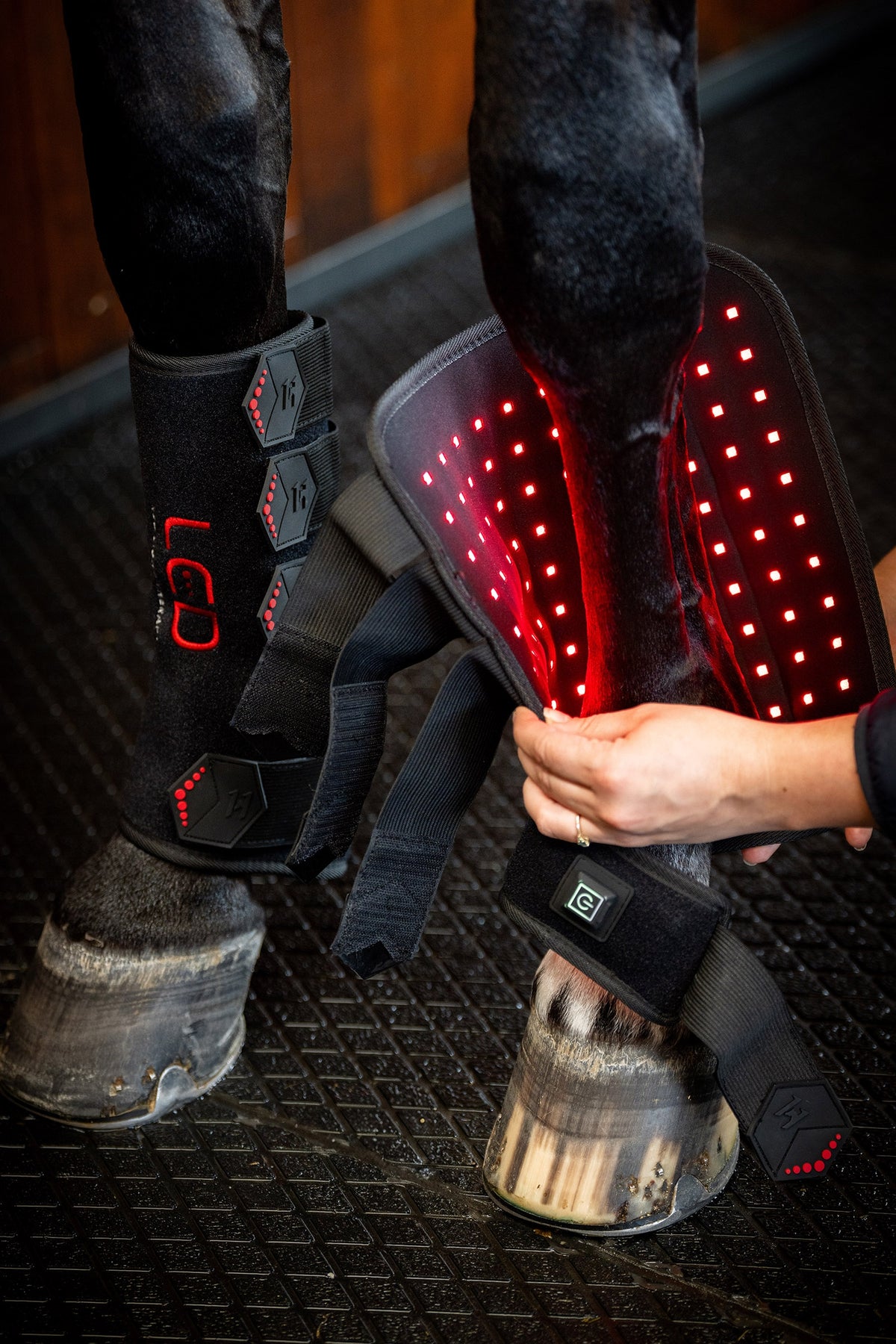 Horseware LED Red Light Therapy Leg Wraps Leg & Hoof Protection