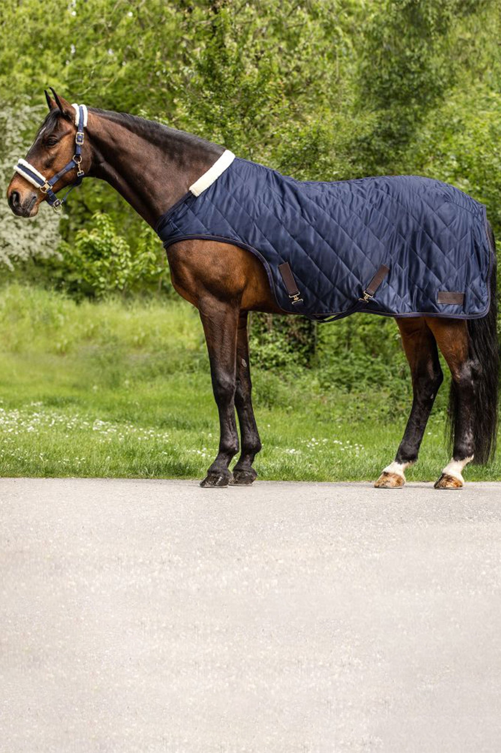 Waldhausen Exclusive Horsewalker Sheet, 50g Horse Rugs