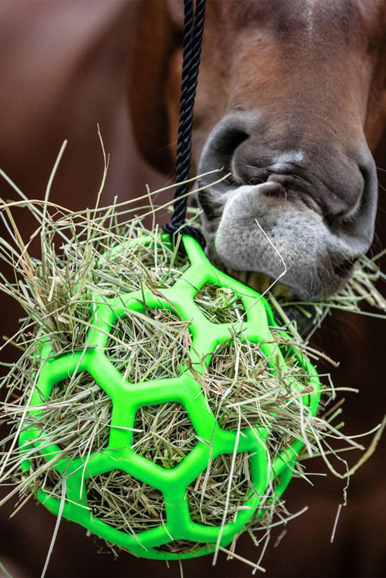 Waldhausen Hay Ball Horse Feeders & Waterers