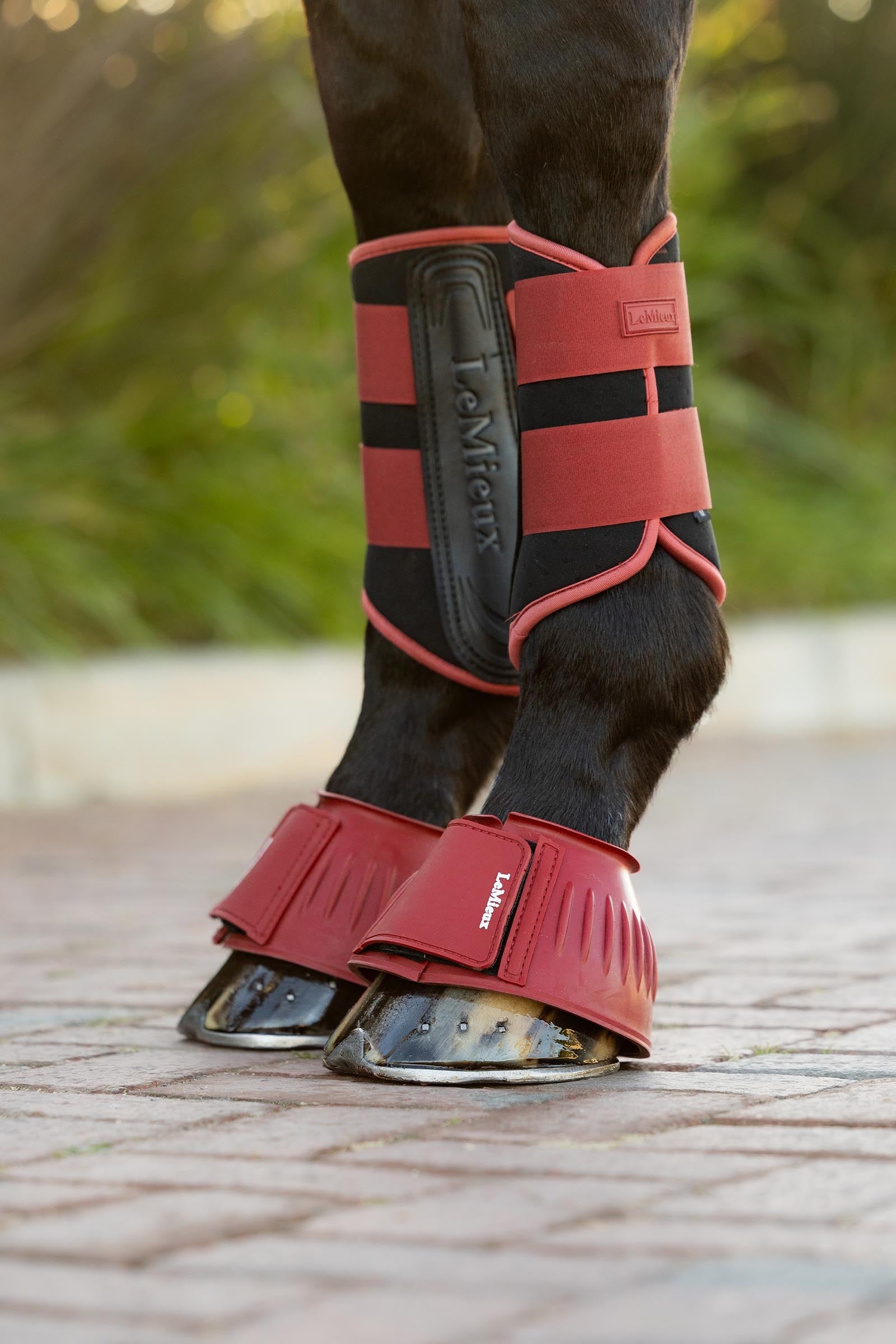 LeMieux Rubber Bell Boots Leg & Hoof Protection
