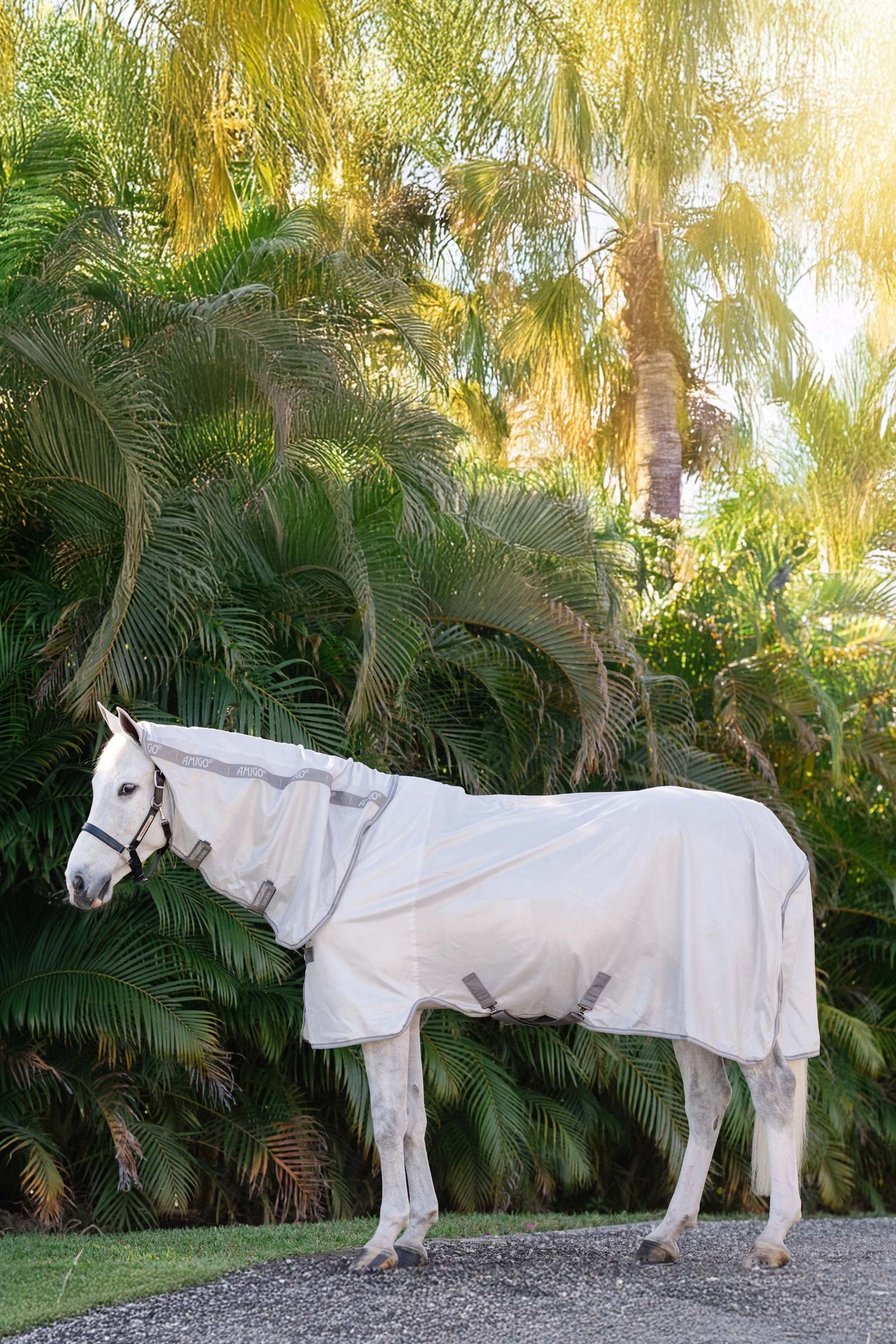 Horseware Amigo Integrated Fly Sheet Horse Rugs