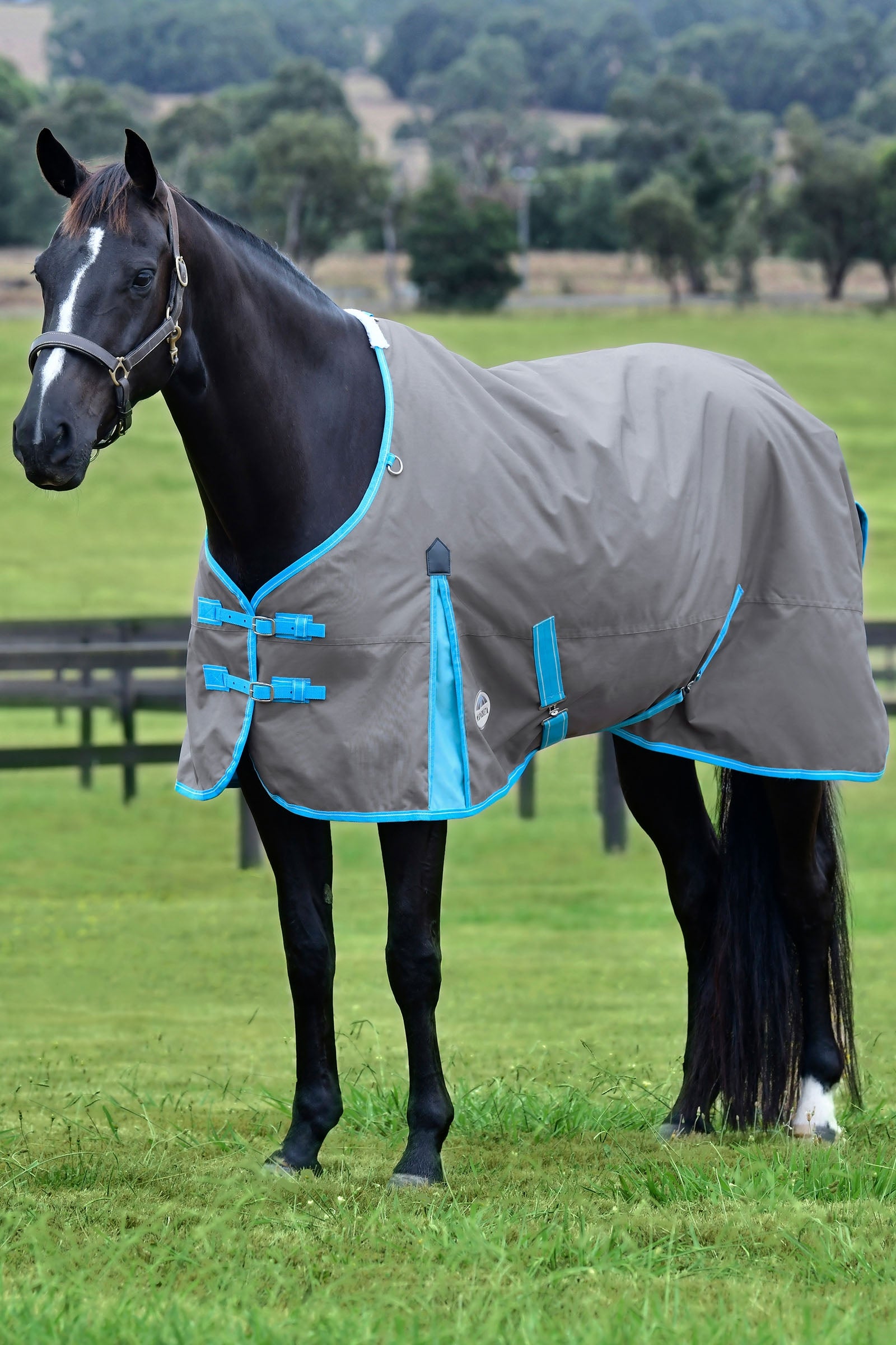 Alt Tag fallback text for IMAGE