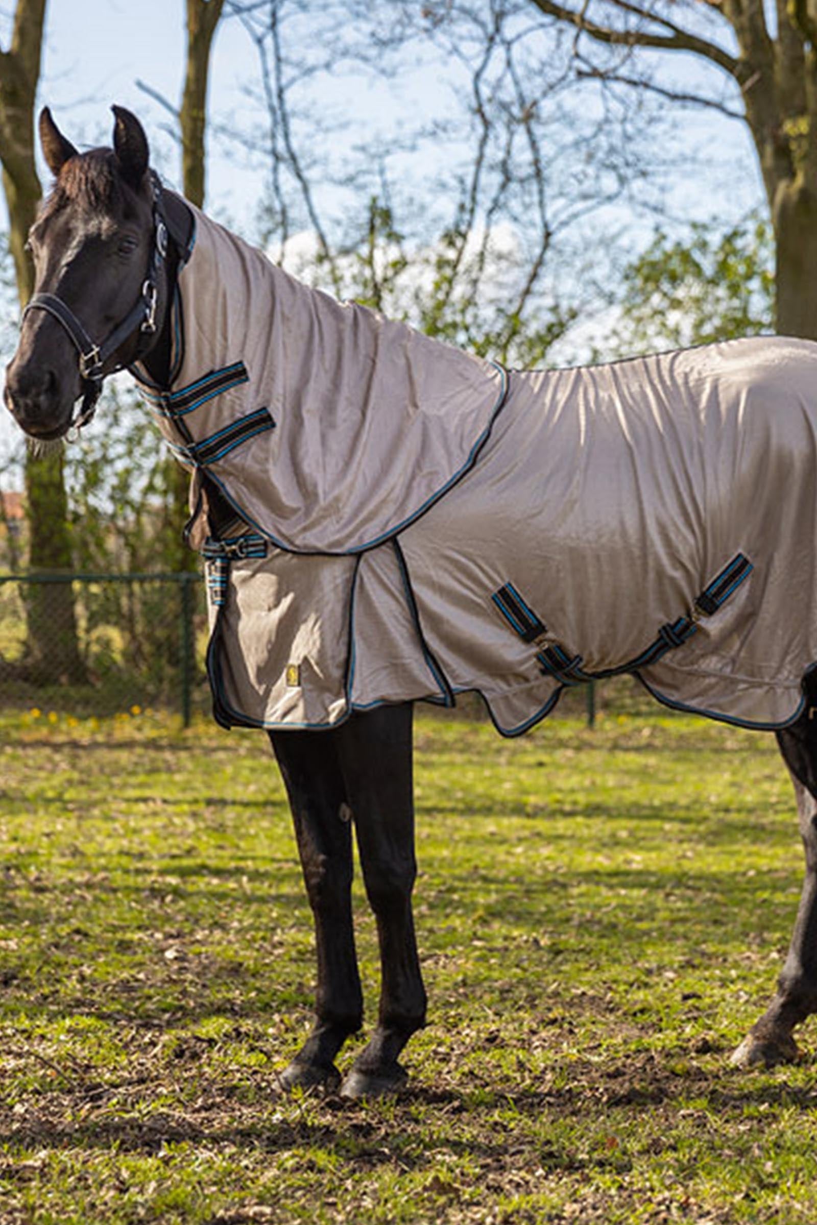 BR Classic Fly Rug Combo With Detachable Neck Horse Rugs