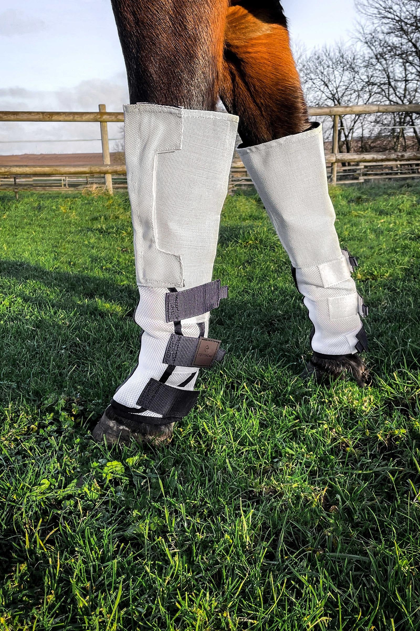 EQUITHÈME Pro Antifly Boot (4 pcs) Antifly Protection for Horses