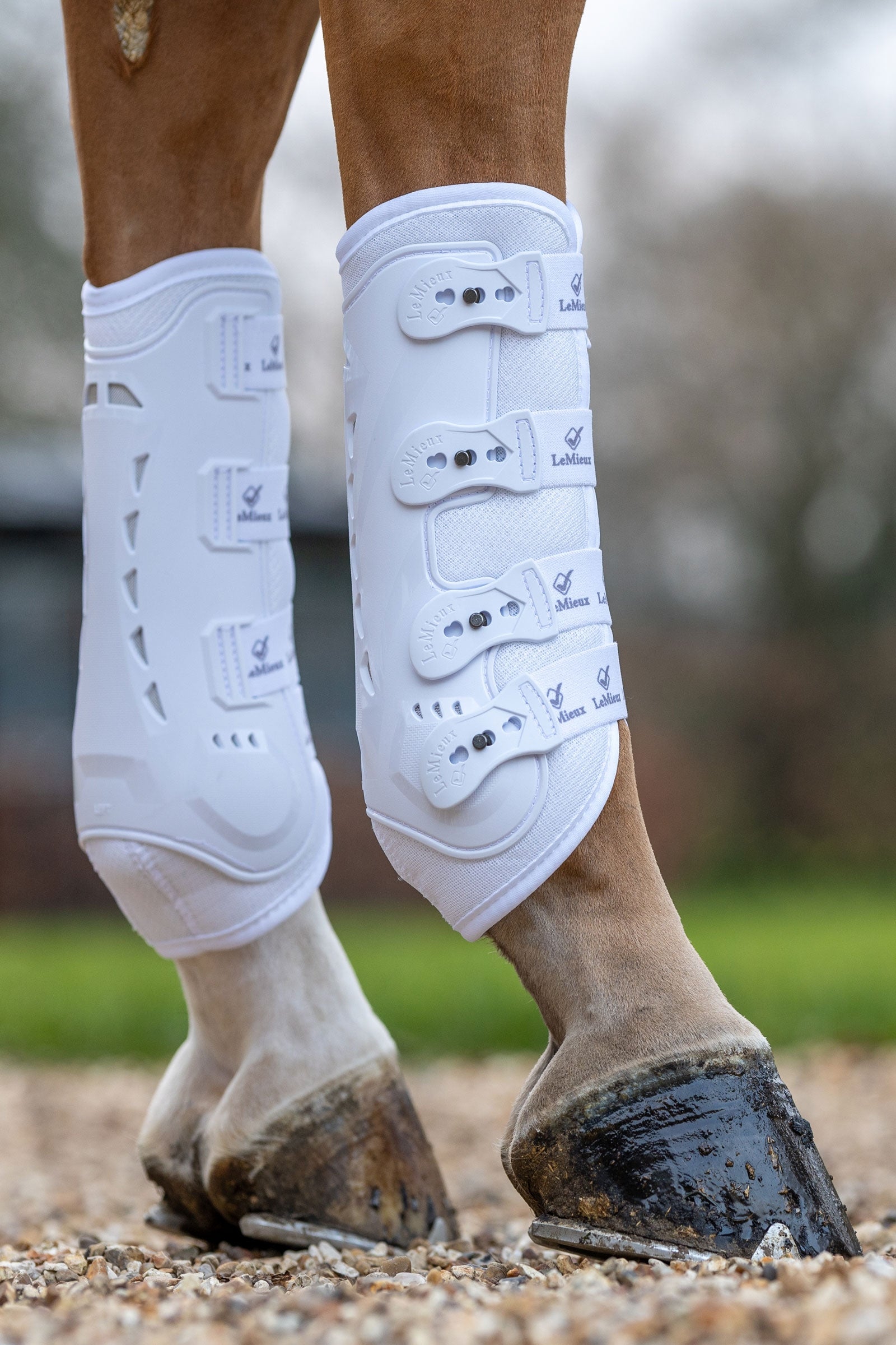 LeMieux Ultra Mesh Snug Boots, Hind Leg & Hoof Protection