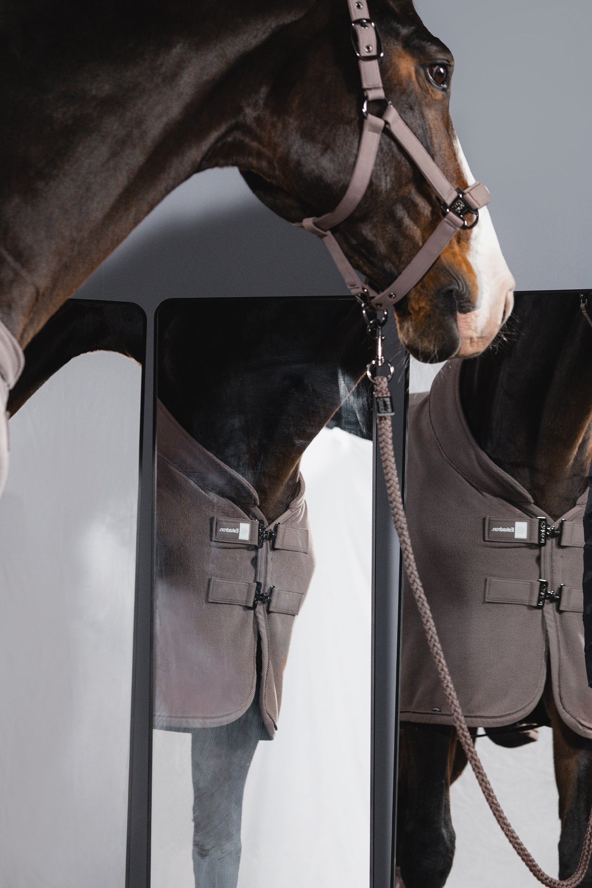 Eskadron Dynamic AW26 Double-Fleece Sweat Rug Horse Rugs