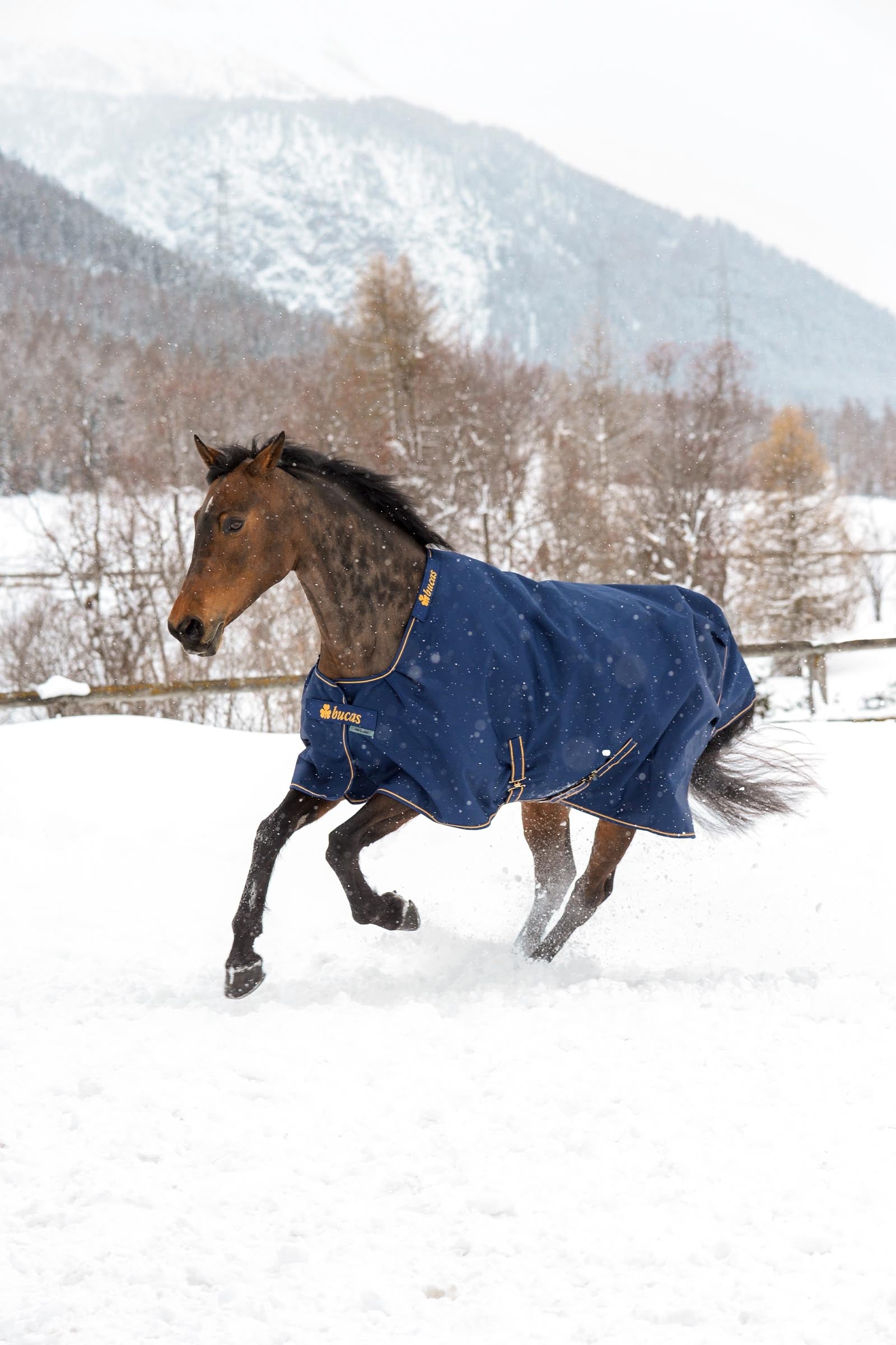 Bucas Irish Turnout Rug, 150g Horse Rugs