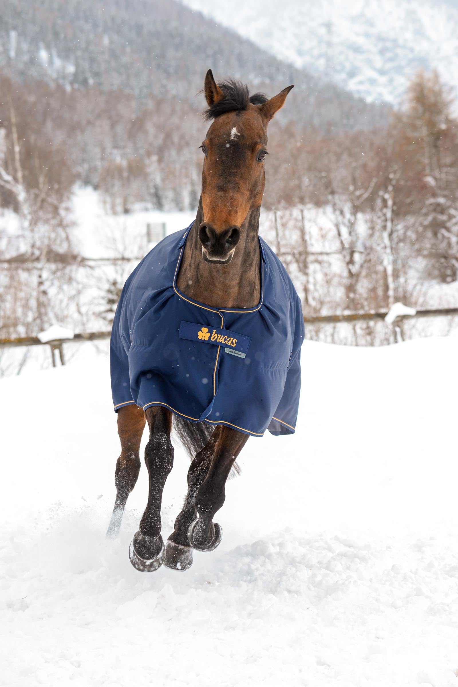 Bucas Irish Turnout Rug, 150g Horse Rugs
