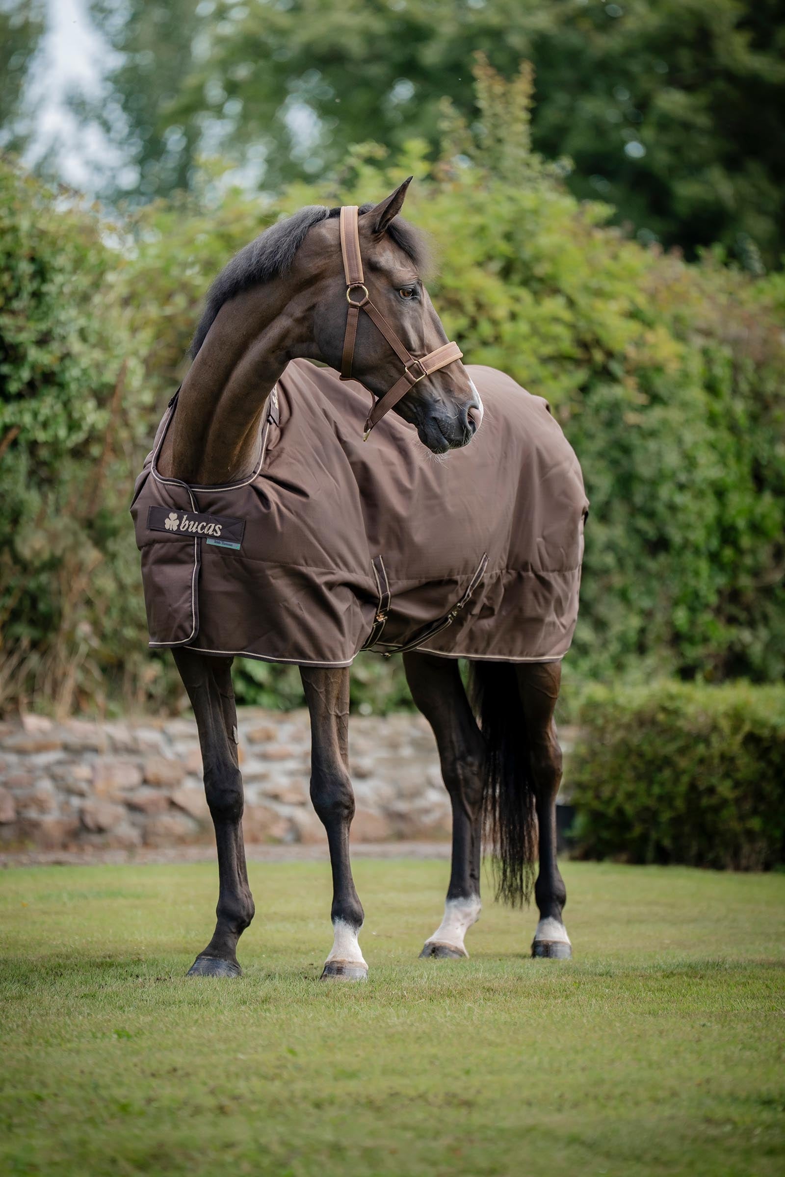Bucas Irish Turnout Rug, 150g Horse Rugs