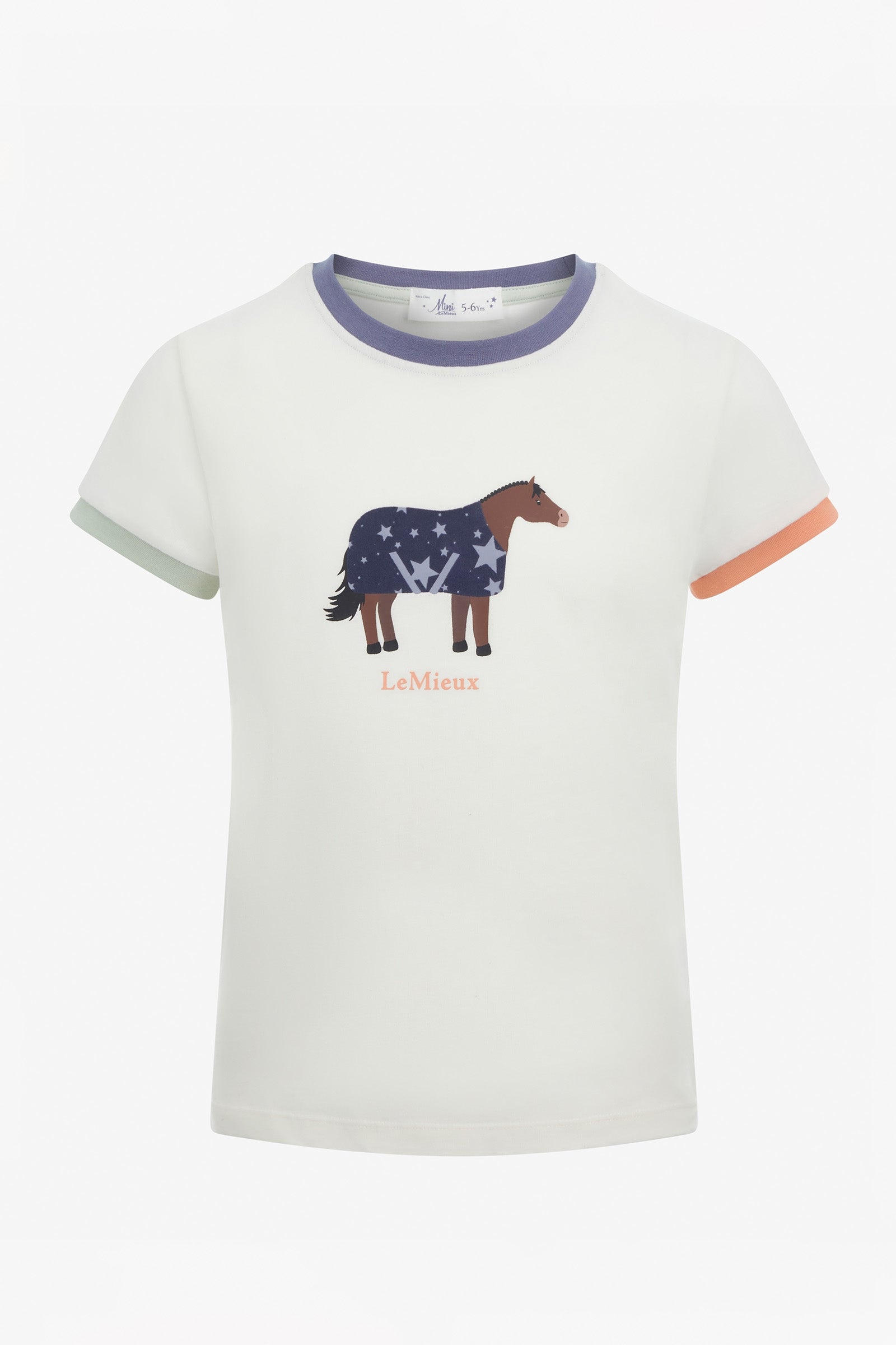 Alt Tag fallback text for IMAGE
