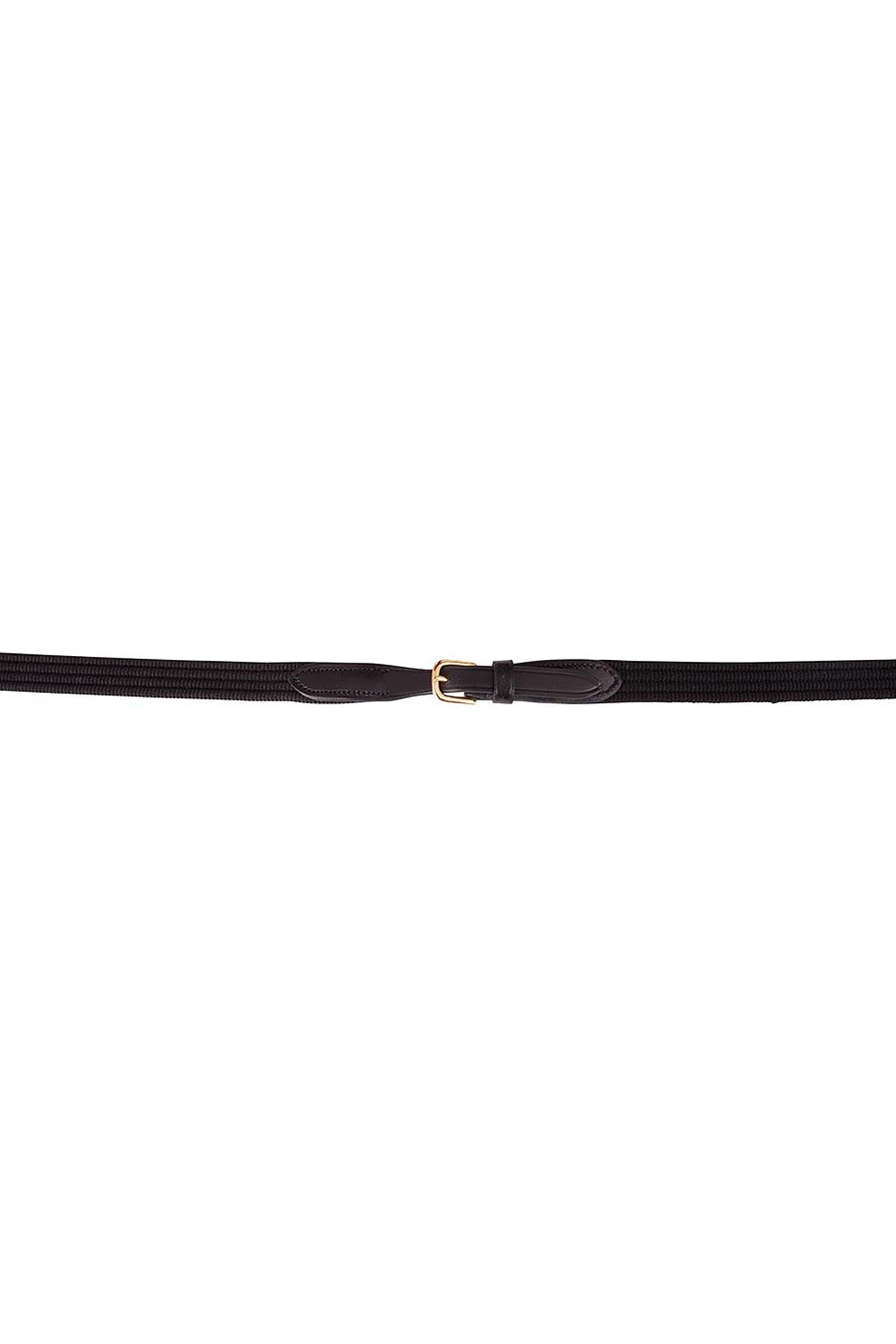 BR Web Reins Bridles & Reins