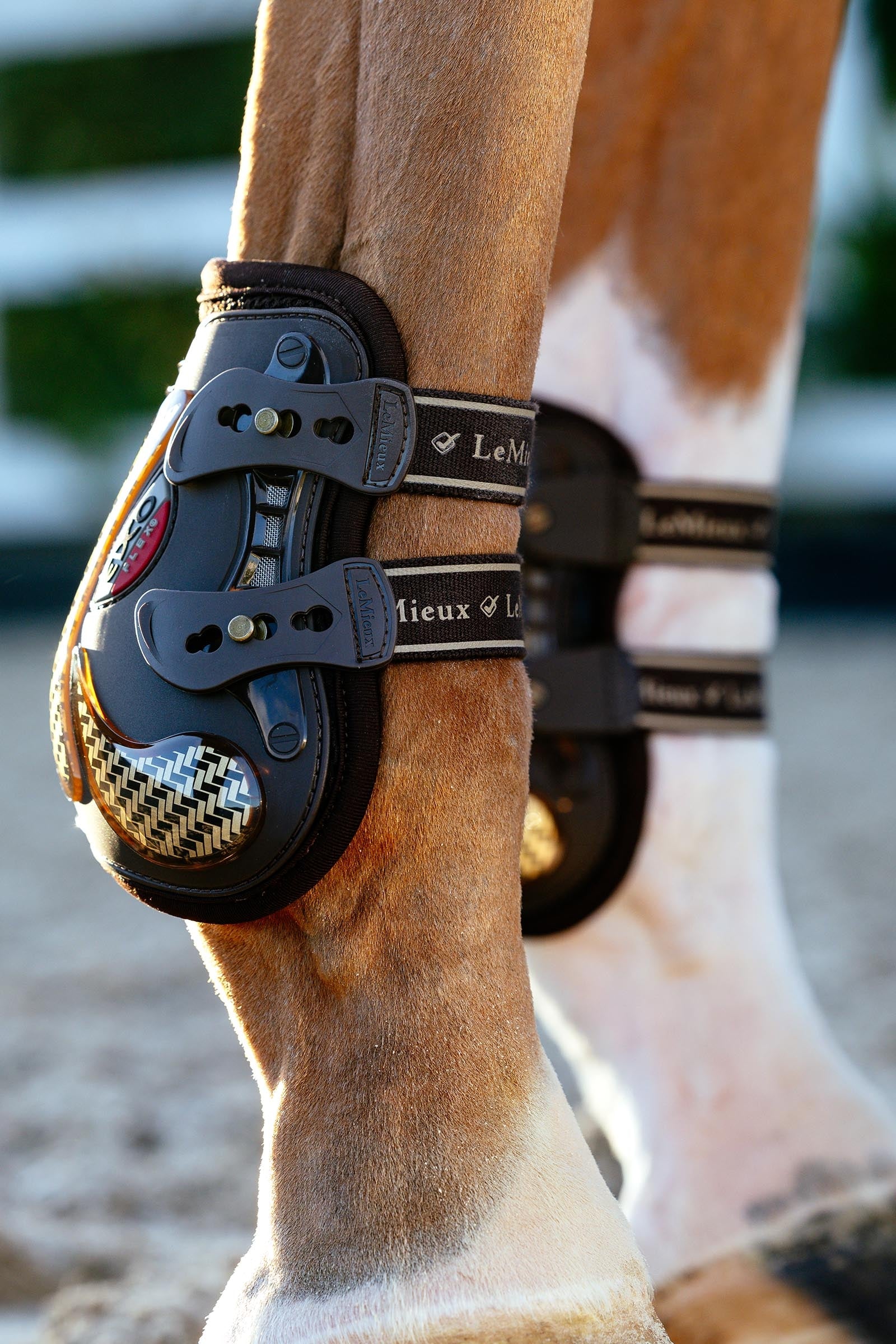 LeMieux EXO Flex Ankle Boots Leg & Hoof Protection