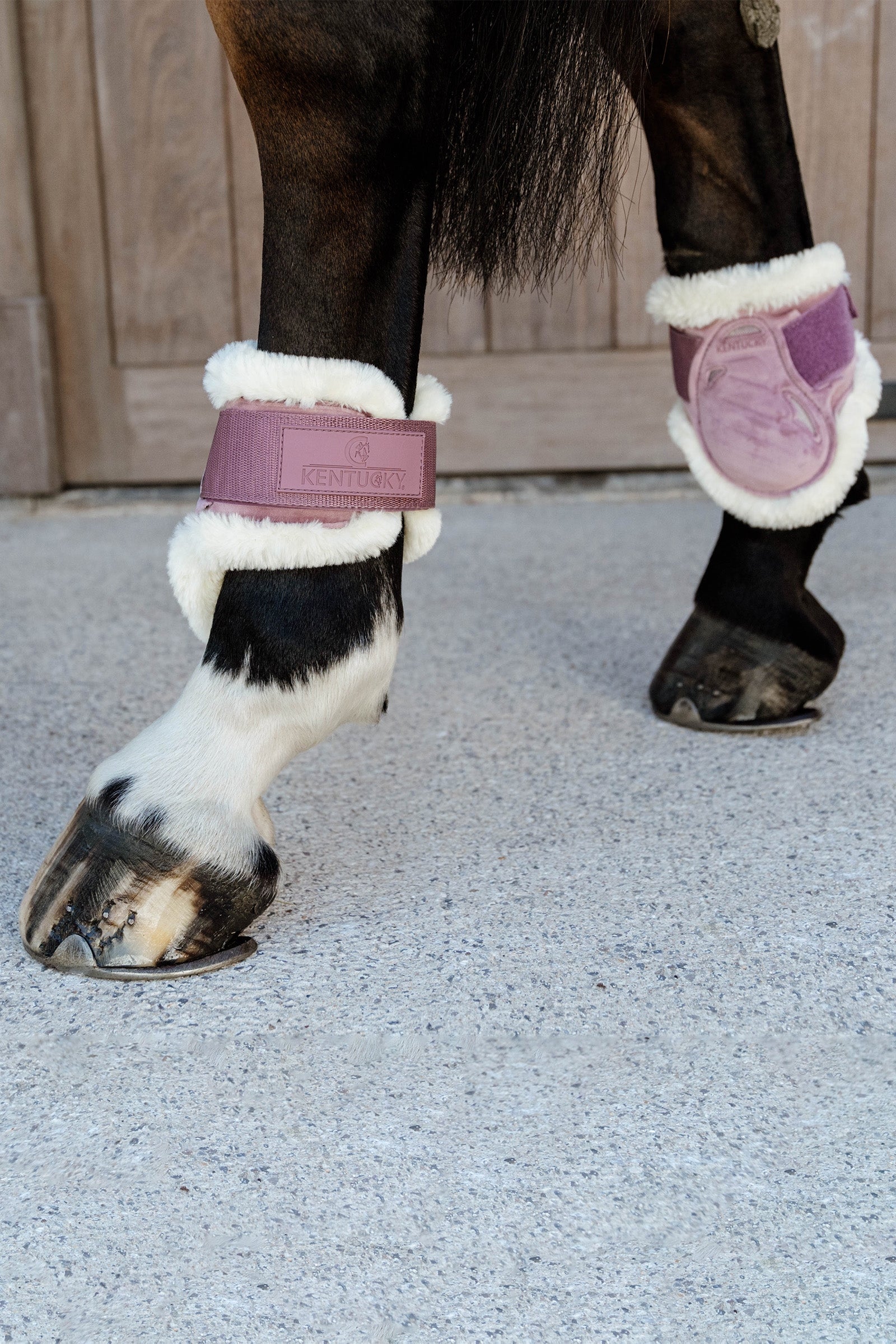 Kentucky Horsewear Vegan Sheepskin Young Horse Fetlock Boots Velvet Leg & Hoof Protection
