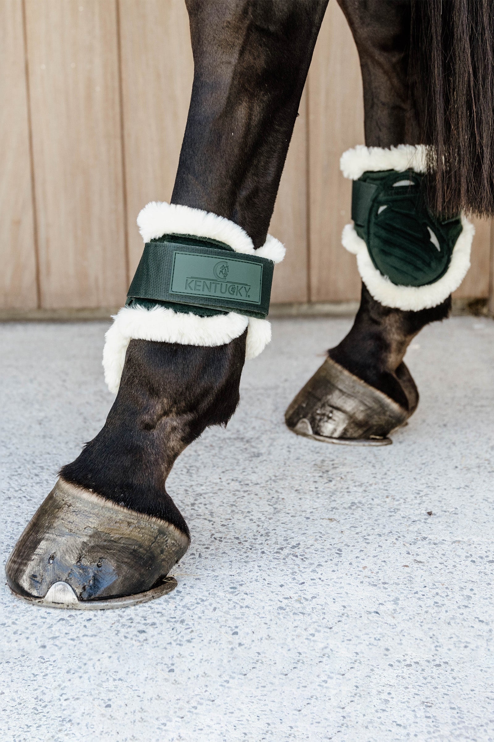 Kentucky Horsewear Vegan Sheepskin Young Horse Fetlock Boots Velvet Leg & Hoof Protection