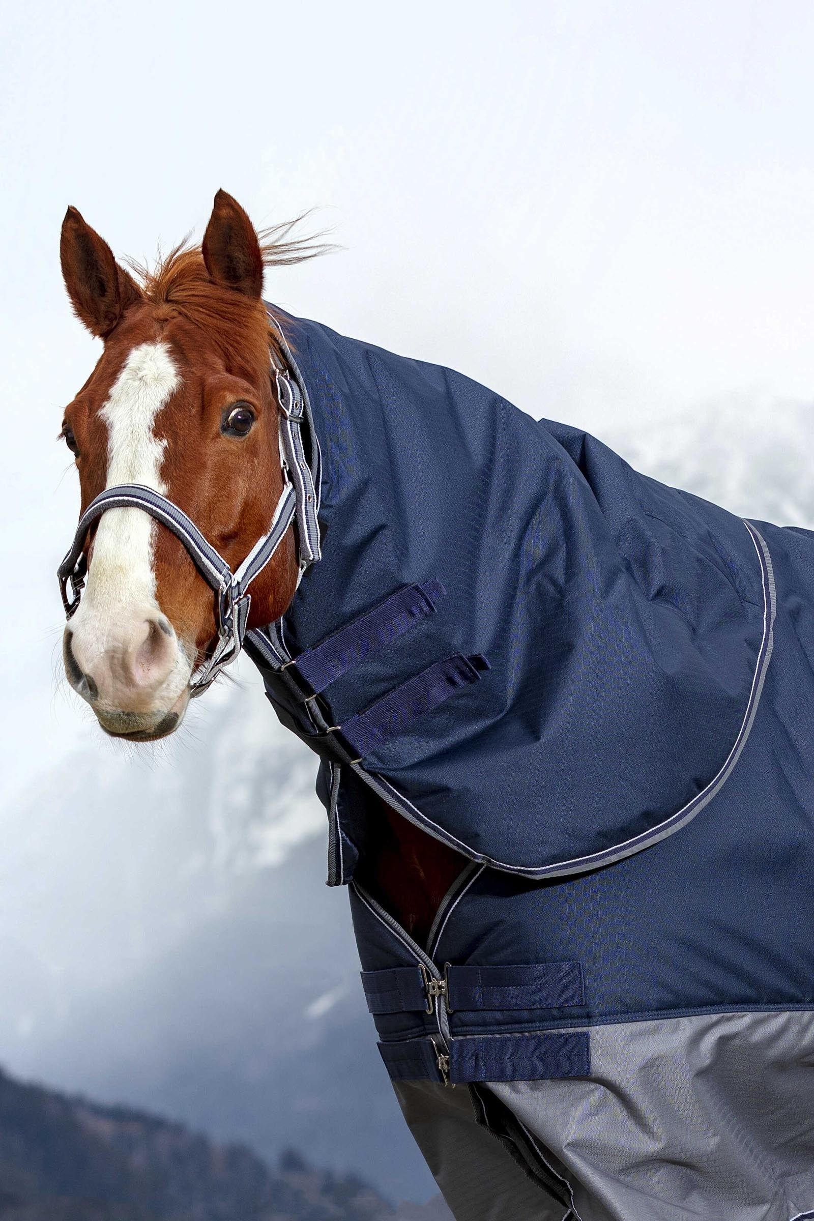 EQUITHÈME TYREX 600D Neck Cover, 0 g Horse Rugs
