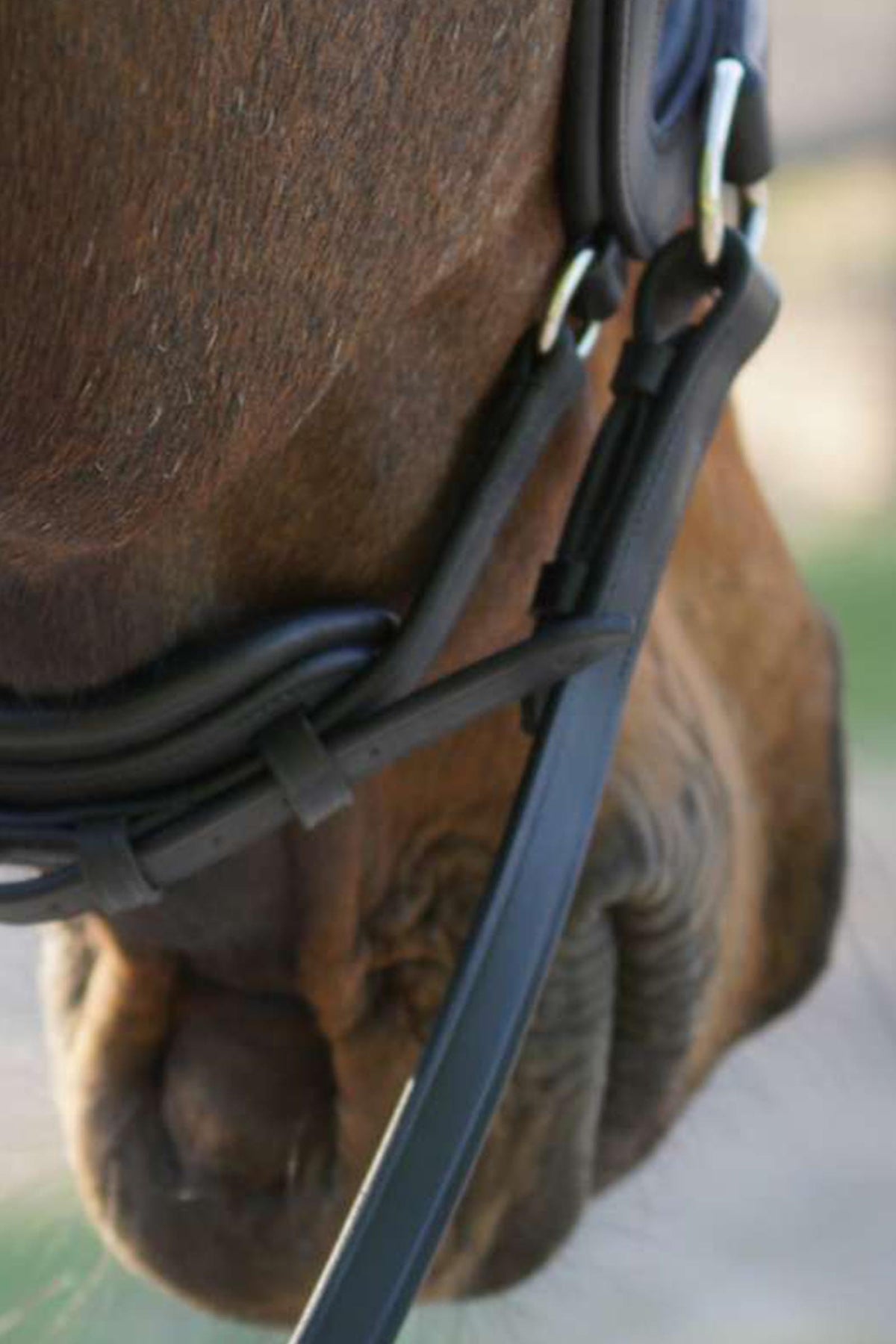 Kavalkade Light Bitless Bridle With English Noseband Bridles & Reins
