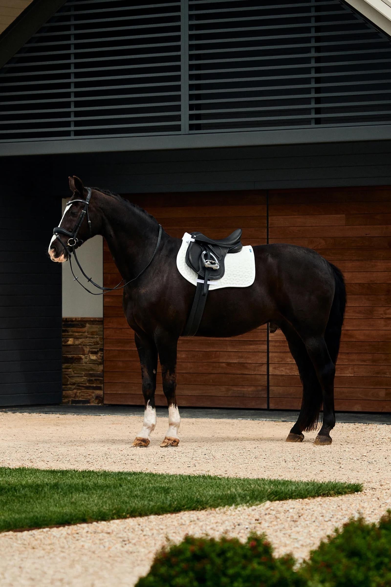 Weatherbeeta Suede Elite Air-Tec All Purpose Saddle Pad Saddle Pads