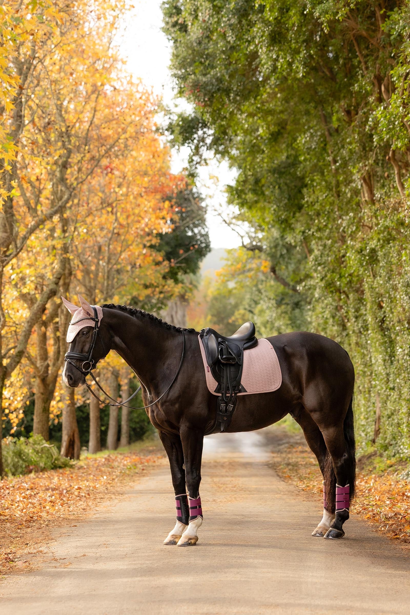 LeMieux Essence Dressage Saddle Pad Saddle Pads