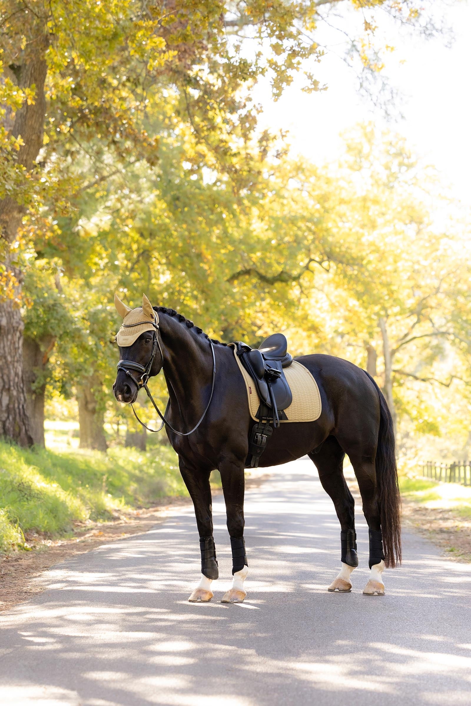 Lifestyle shot 1